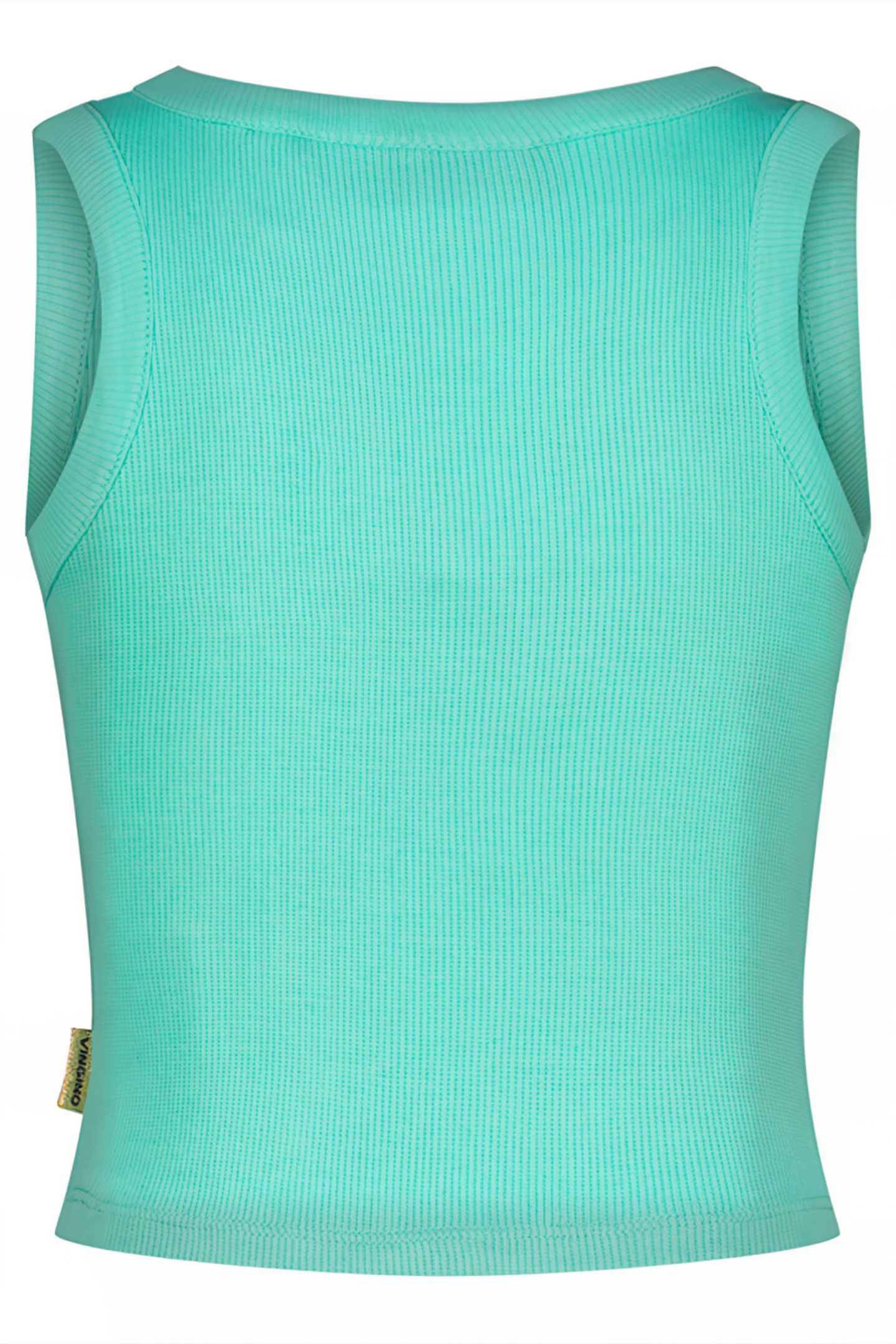 JEVA TROPIC MINT 2