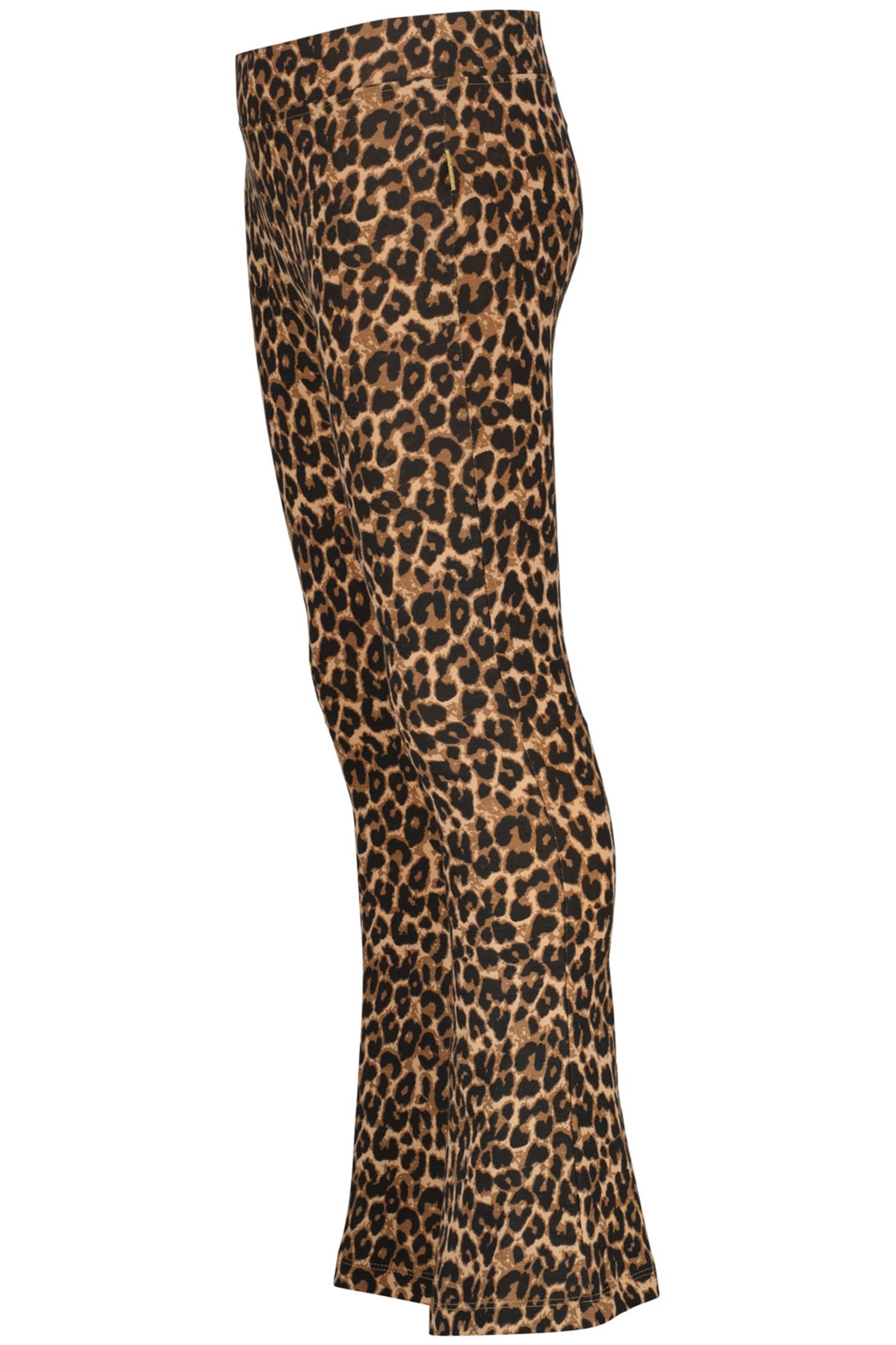 SUSIE MULTICOLOR BROWN 3