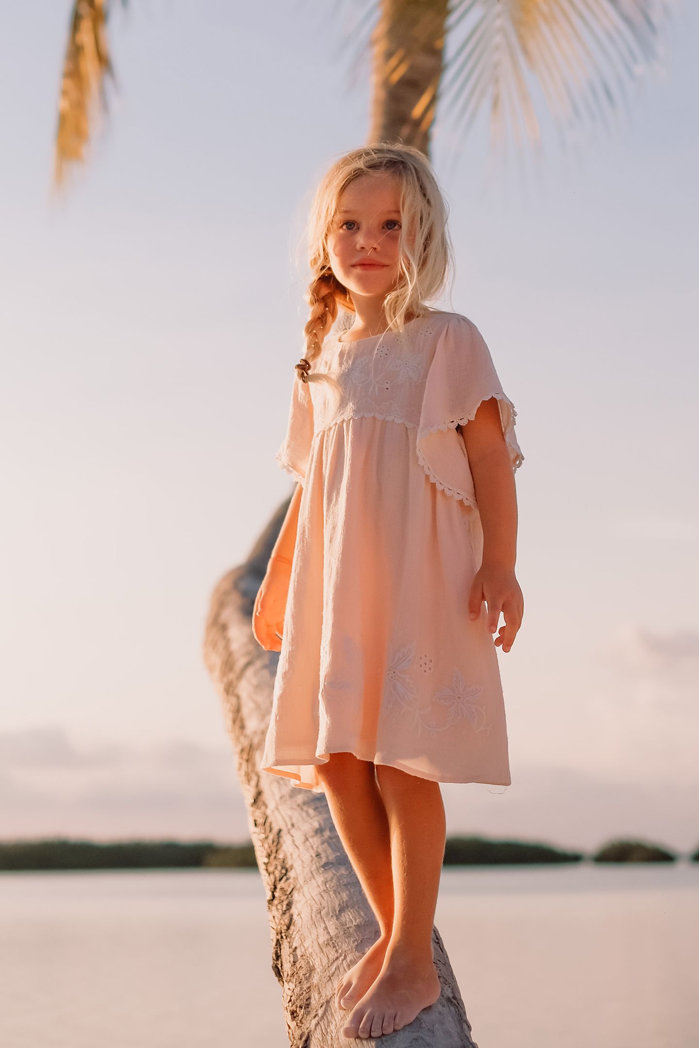 DRESS ESCA BLUSH 1