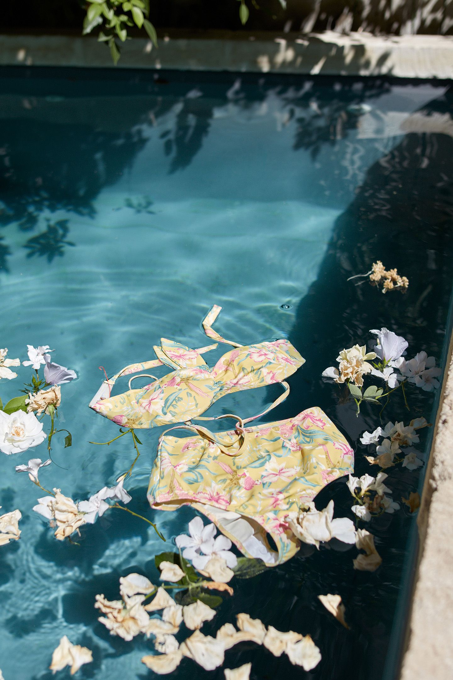 BIKINI TOP WALNUT SOFT HONEY PARROTS 9