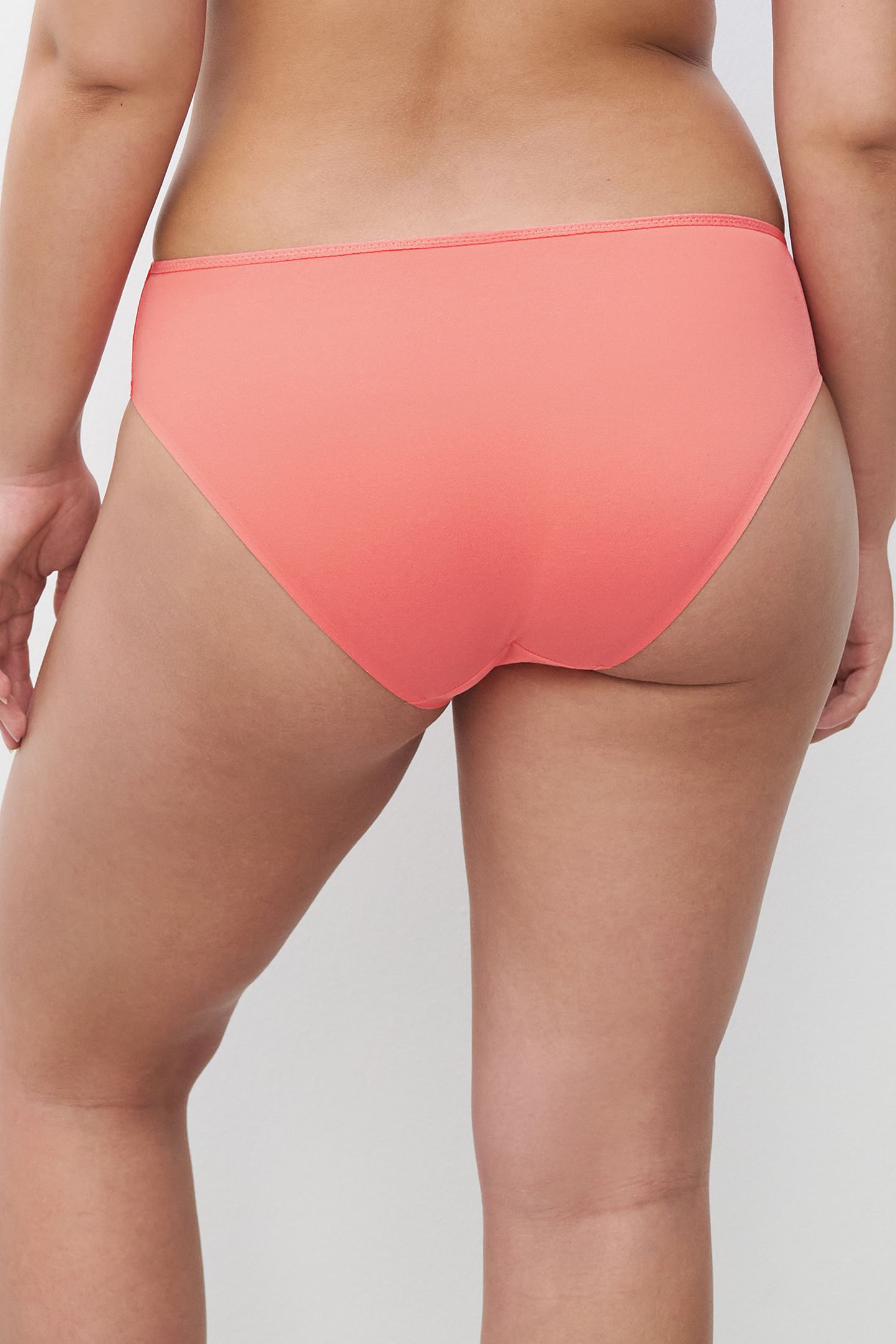GRAPHIC SUPPORT BRIEF CORAL 2