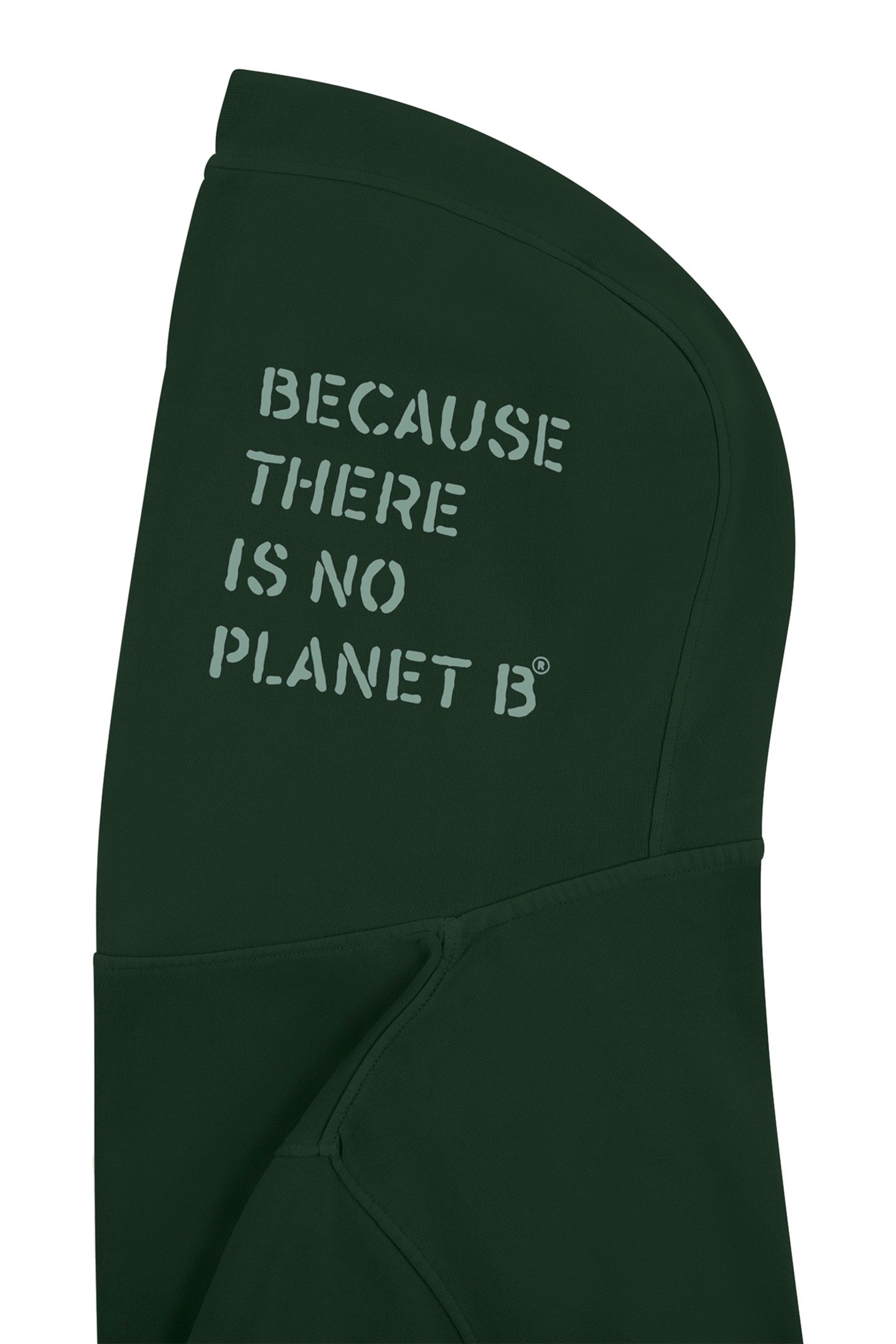 DELMARALF SWEATSHIRT KOREAN GREEN 3