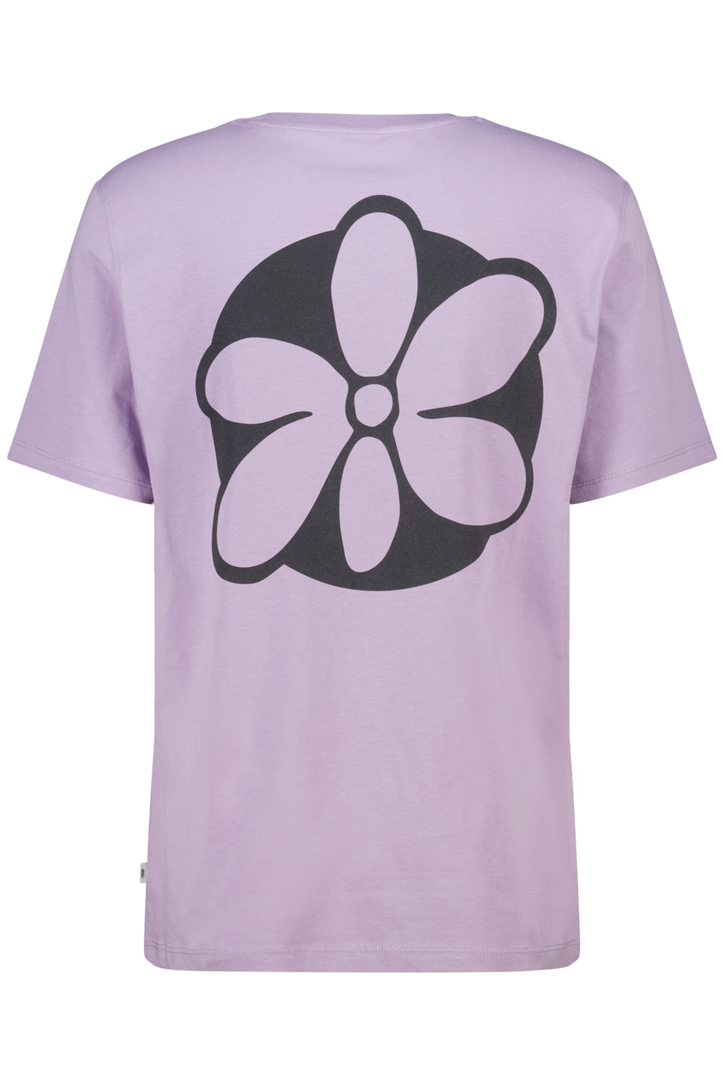 ETIENNE Z LILAC 4