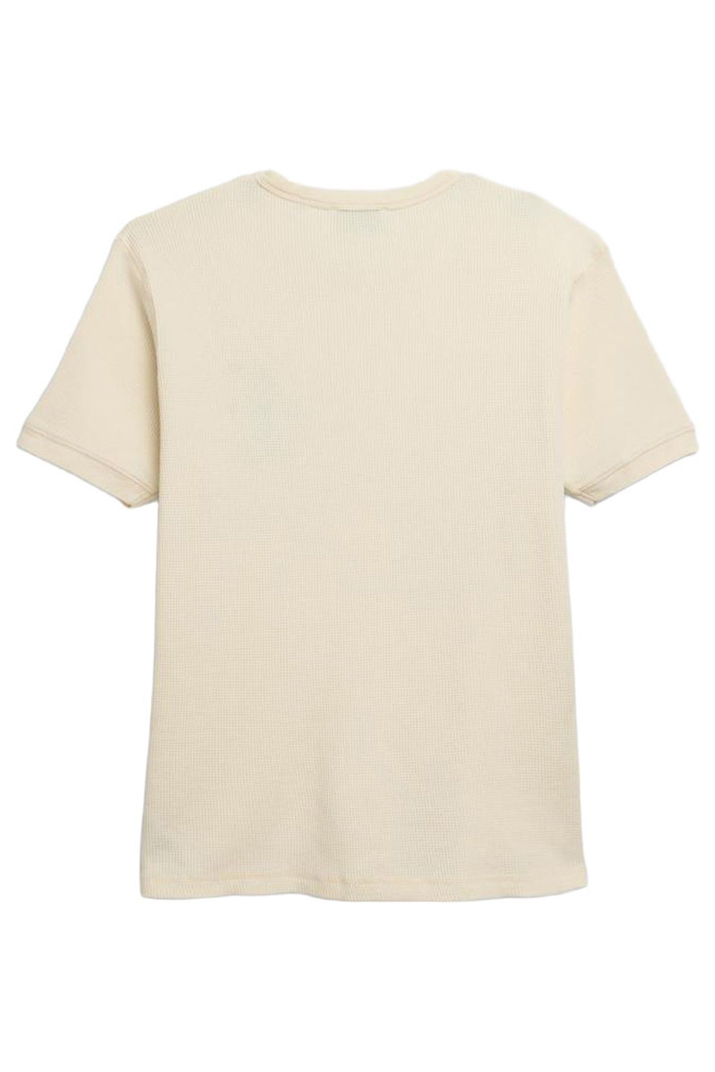 CARNE BOLLENTE – PARIS NIGHT DELIGHTS T-SHIRT 6