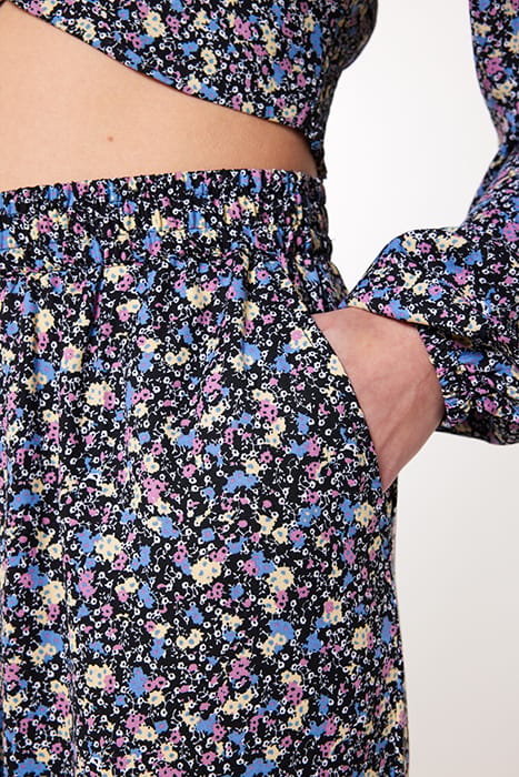 PIXIE MULTI COLOUR 5