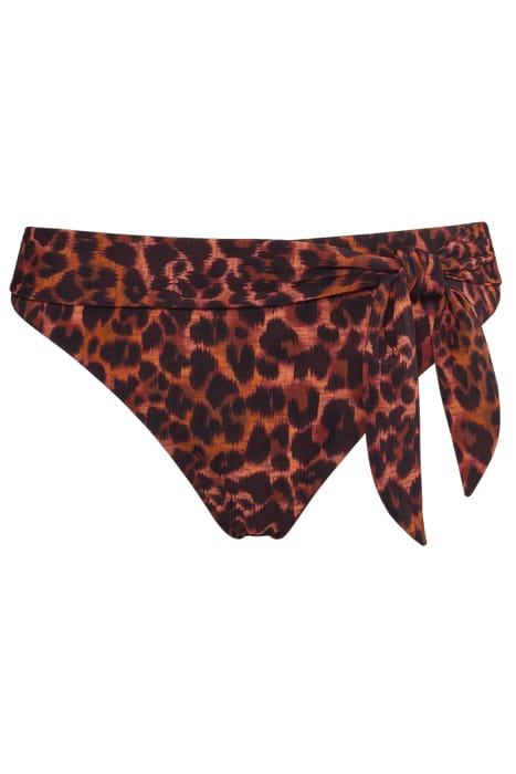 JUNGLE DIVA BROWN AND DARK ORANGE BRIEFS 3