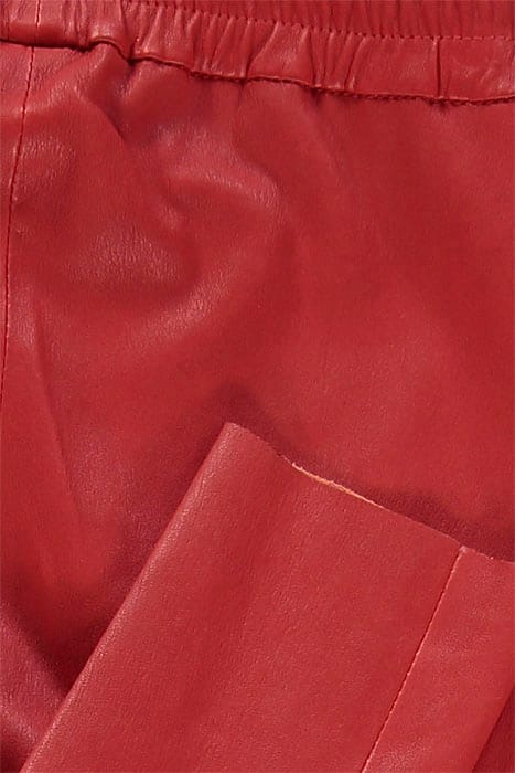 SUZANNE FUNKYRED 3