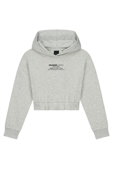 LIMITED HOODIE LIGHT GREY MELANGE 1