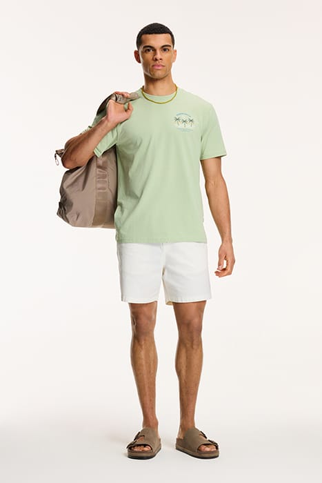 ANTIGUA PORT T-SHIRT DUST GREEN 6