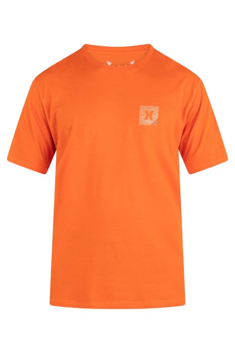 EVD CORNER SHORT SLEEVE BENGAL 3