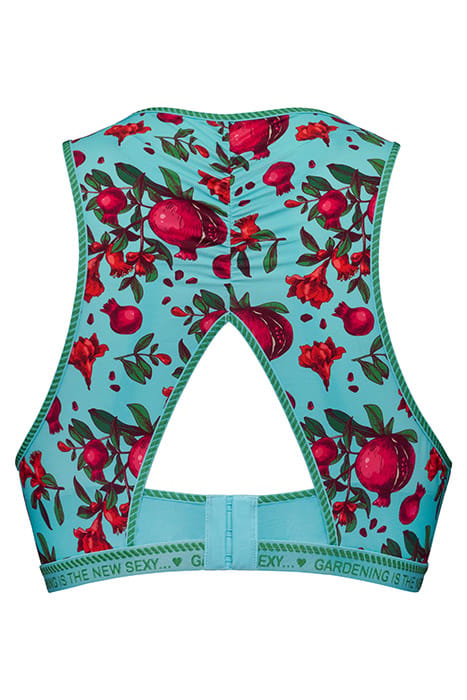 FORBIDDEN FRUIT POMEGRANATE PRINT PUSH UP BRA 5