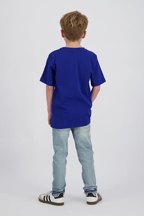 HOAPY WEB BLUE 2