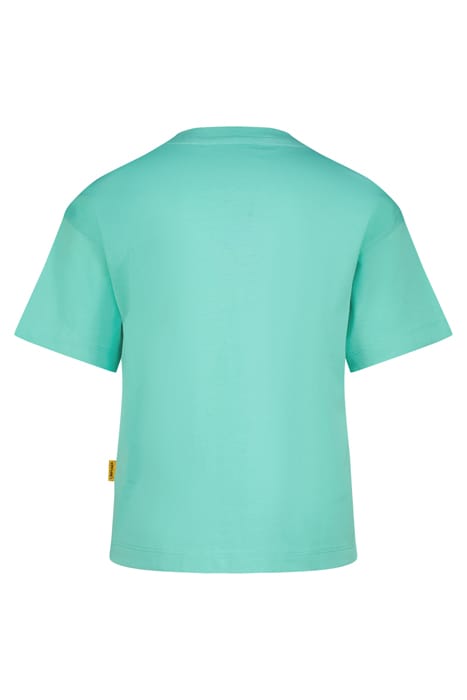 HANZA TROPIC MINT 2