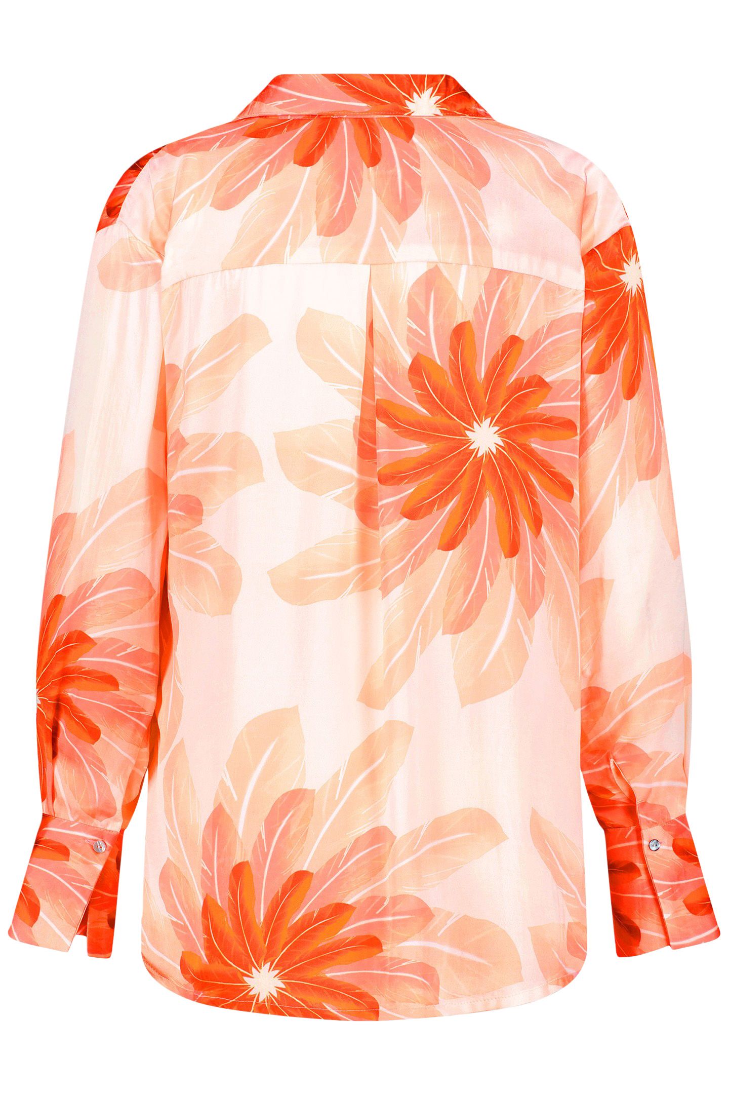 TALMY ROSY BLUSH 4