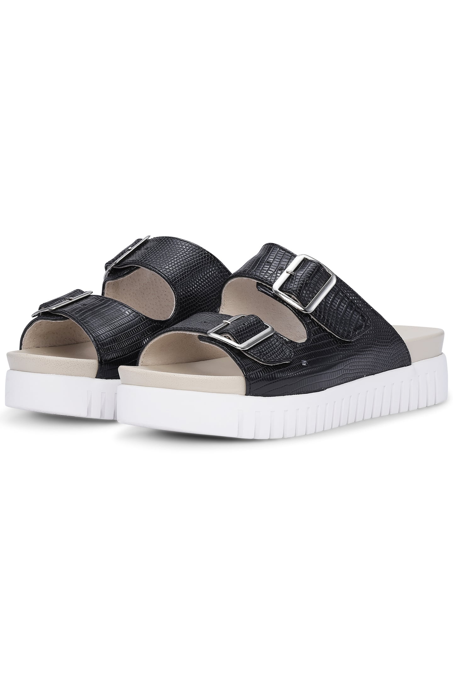 TULIP1165RE BLACK 2