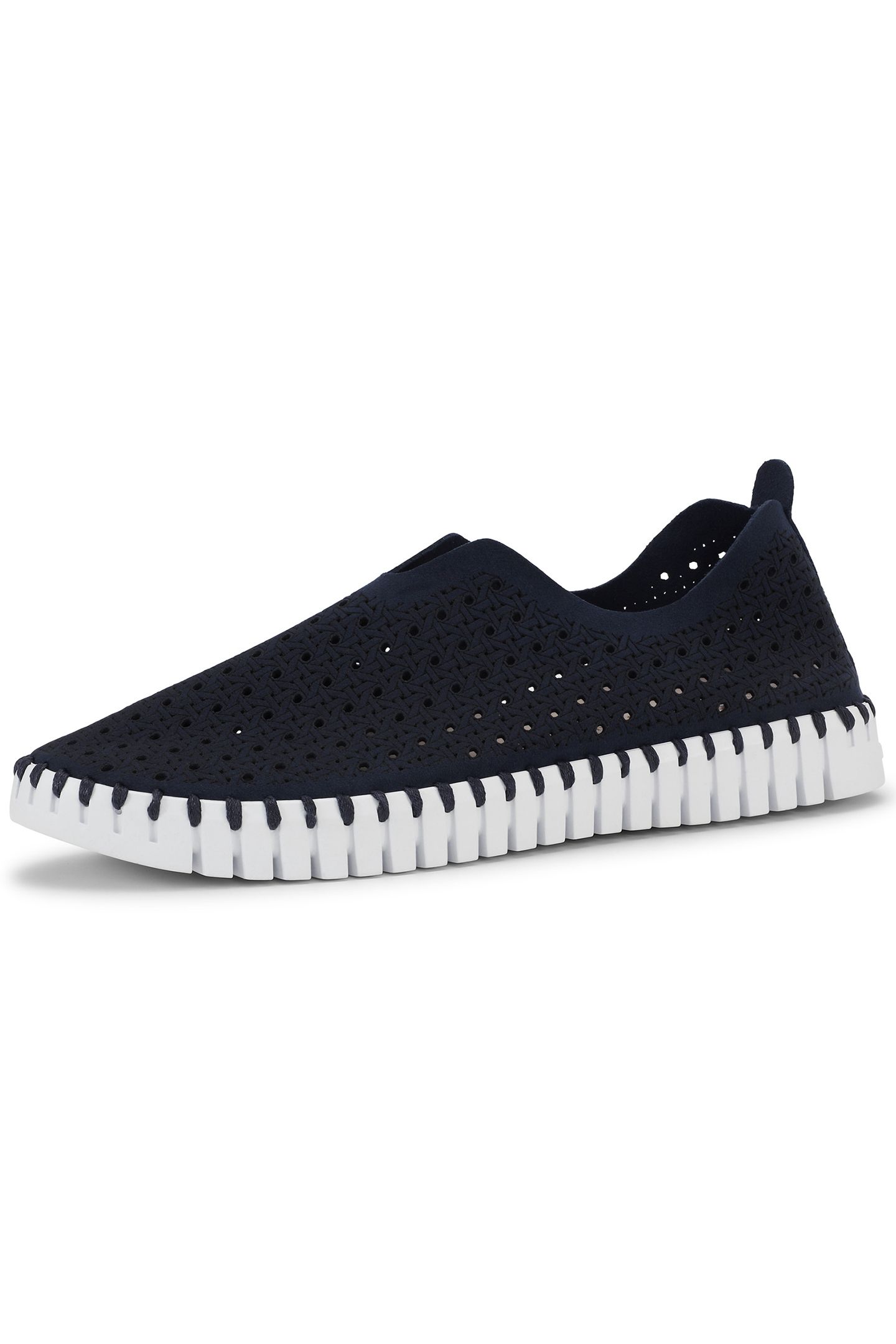 TULIP4031 DARK INDIGO WHITE 8