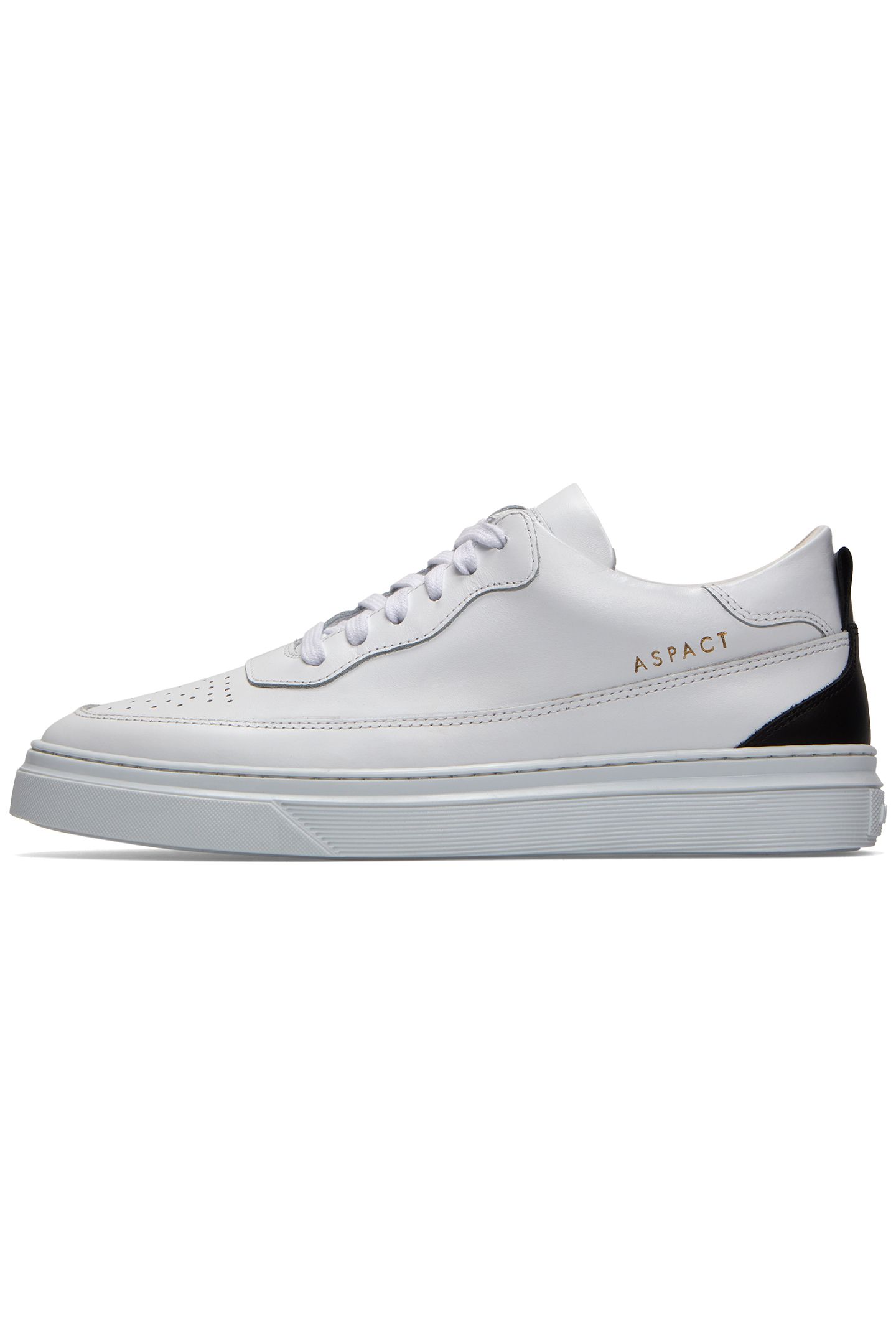 ENZO WHITE 1