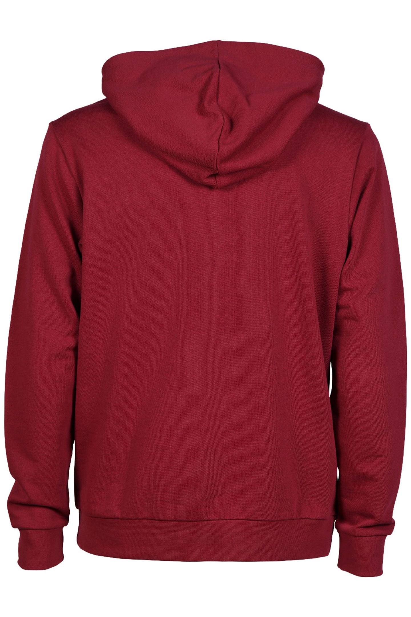 UNISEX ARENA ICONS HOODED SWEAT SOLID BURGUNDY NEON BLUE 8