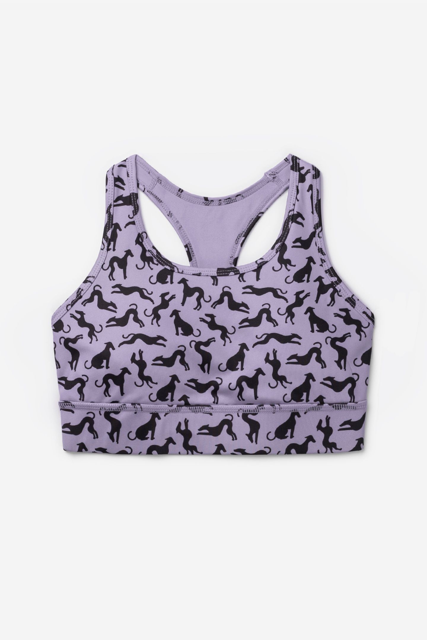 TOP RORY WISTERIA 4