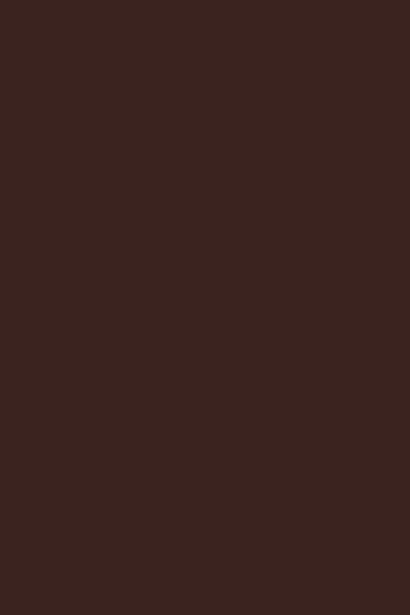 IDO STRAP SANDALS COCOA 6