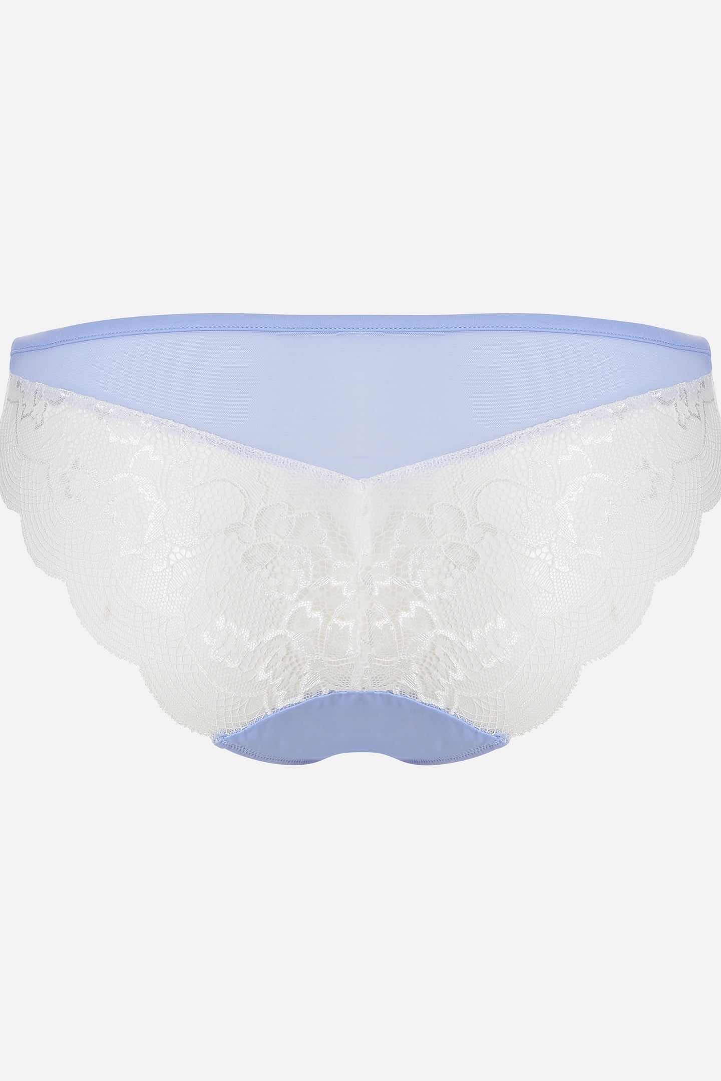 BRIEF REVEALING ENCHANTING LILAC BLUE 1