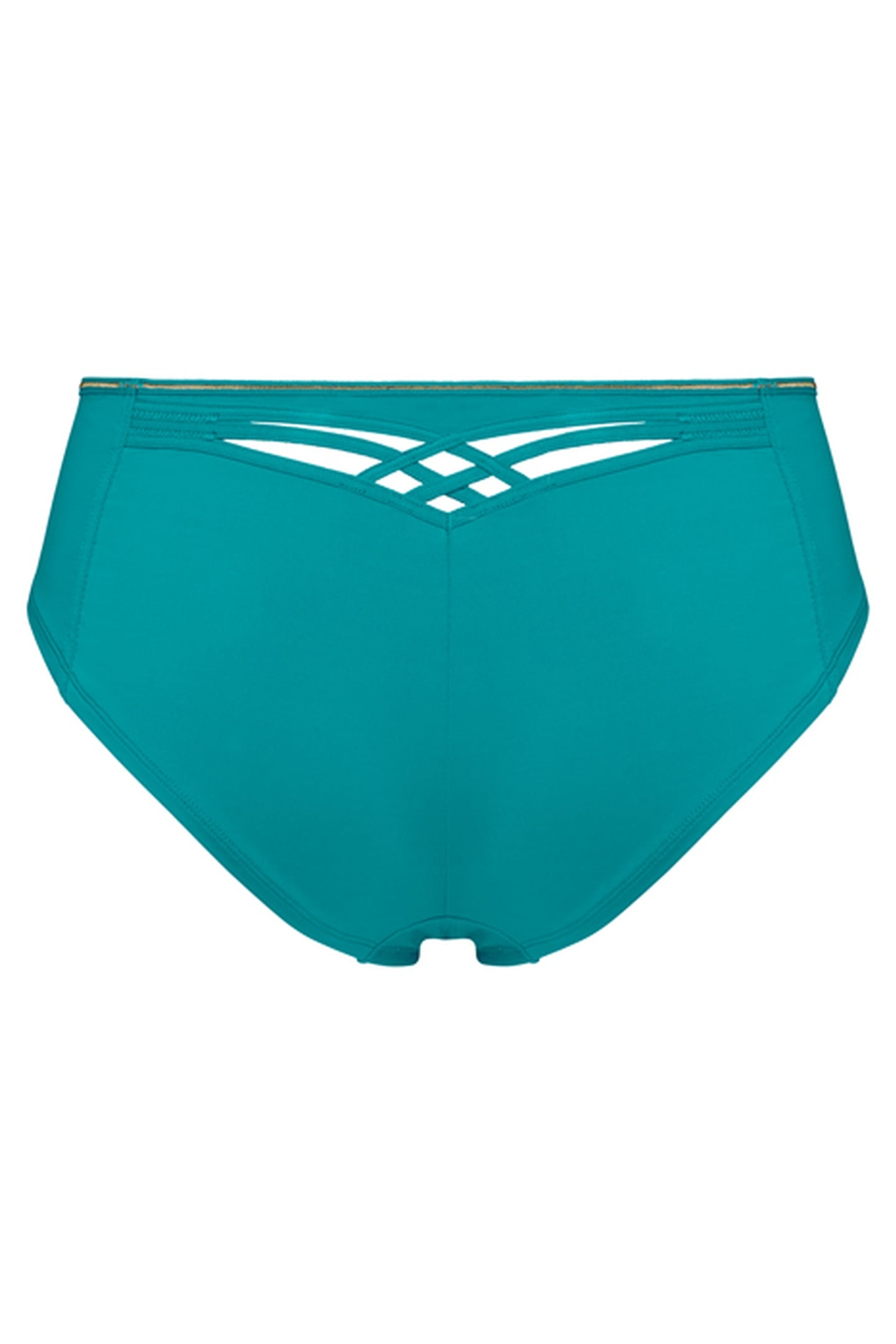 DAME DE PARIS LAKE BLUE AND GOLD BRAZILIAN BRIEFS 4