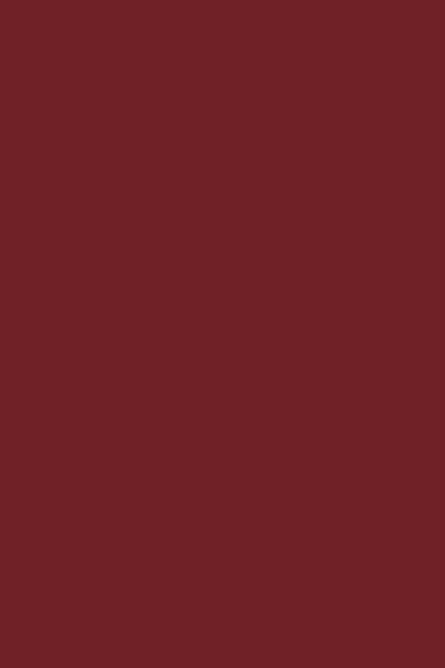 ARONA T-SHIRT BORDEAUX 6