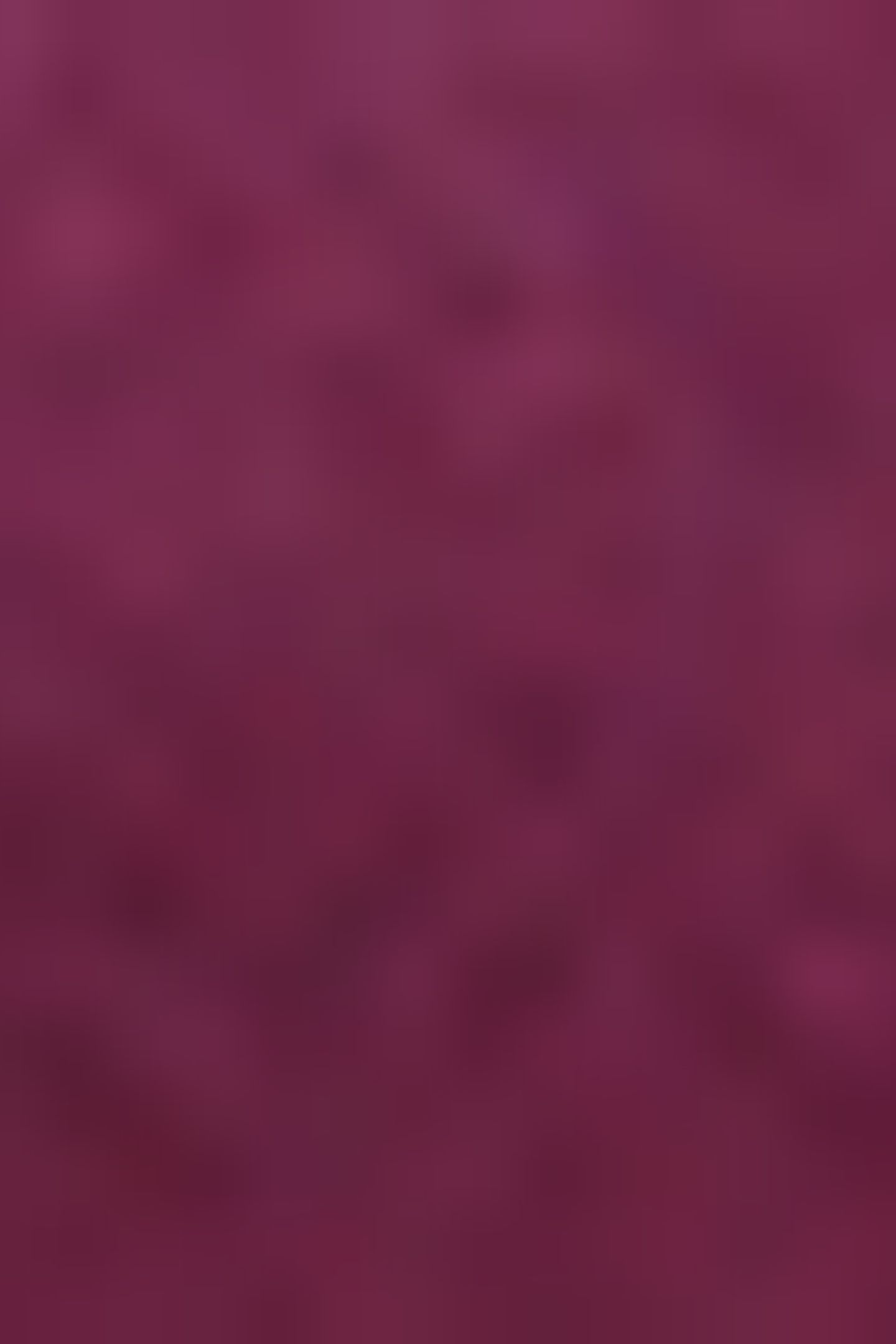 KADENCE BURGUNDY 5