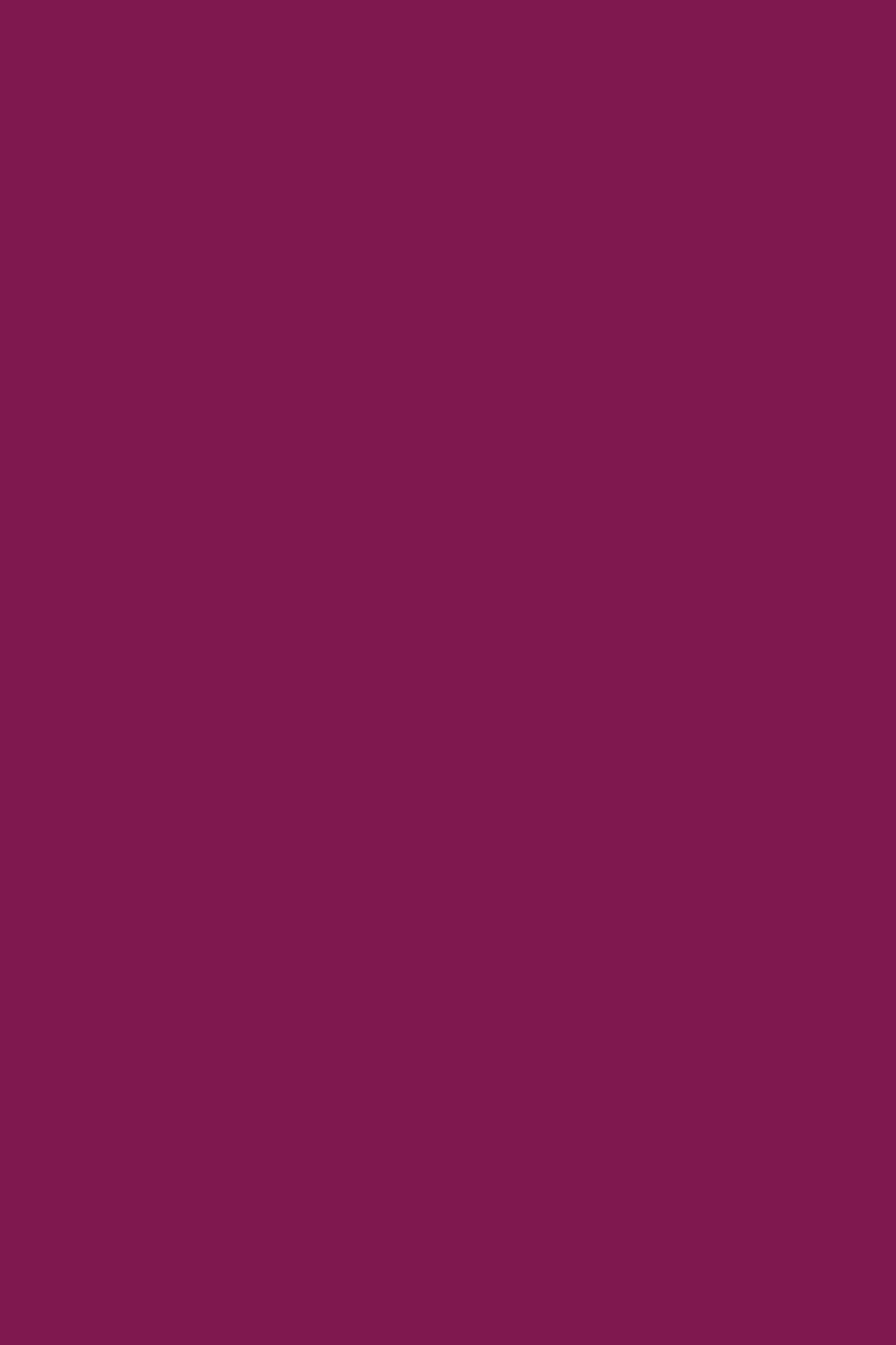 FERIO T-SHIRT BERRY 6
