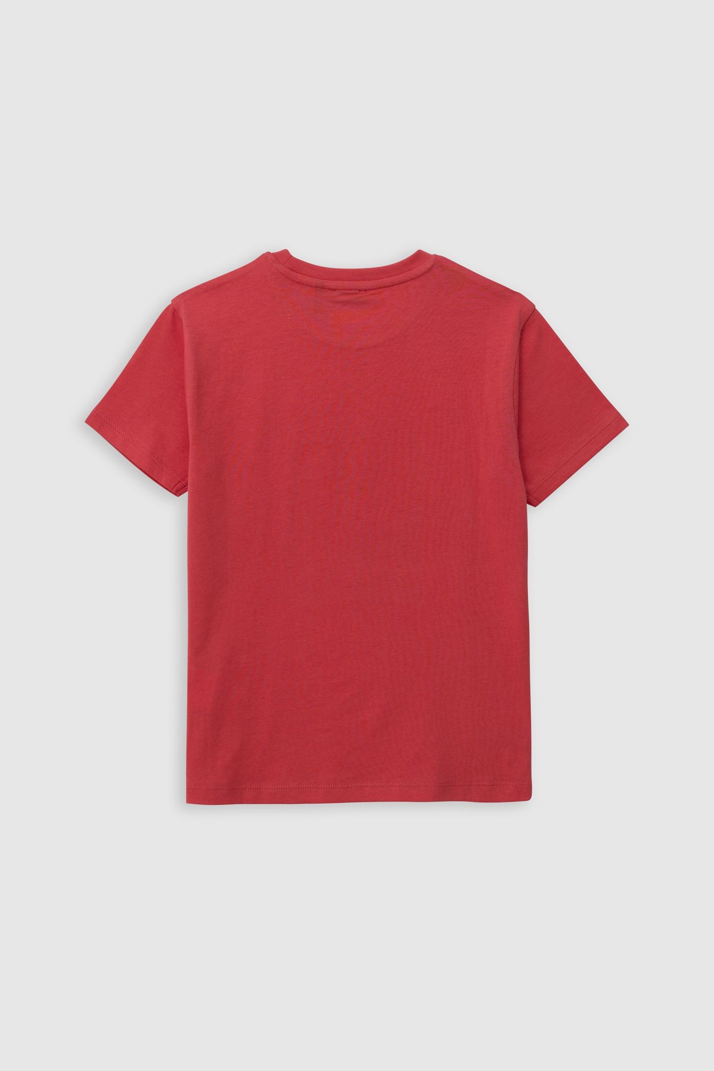 RED ORGANIC COTTON T-SHIRT WITH STRIPES ON MESSAGE 2