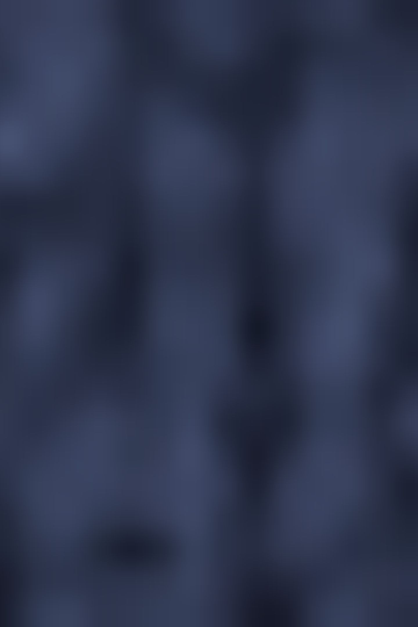 KESS DARK BLUE 5