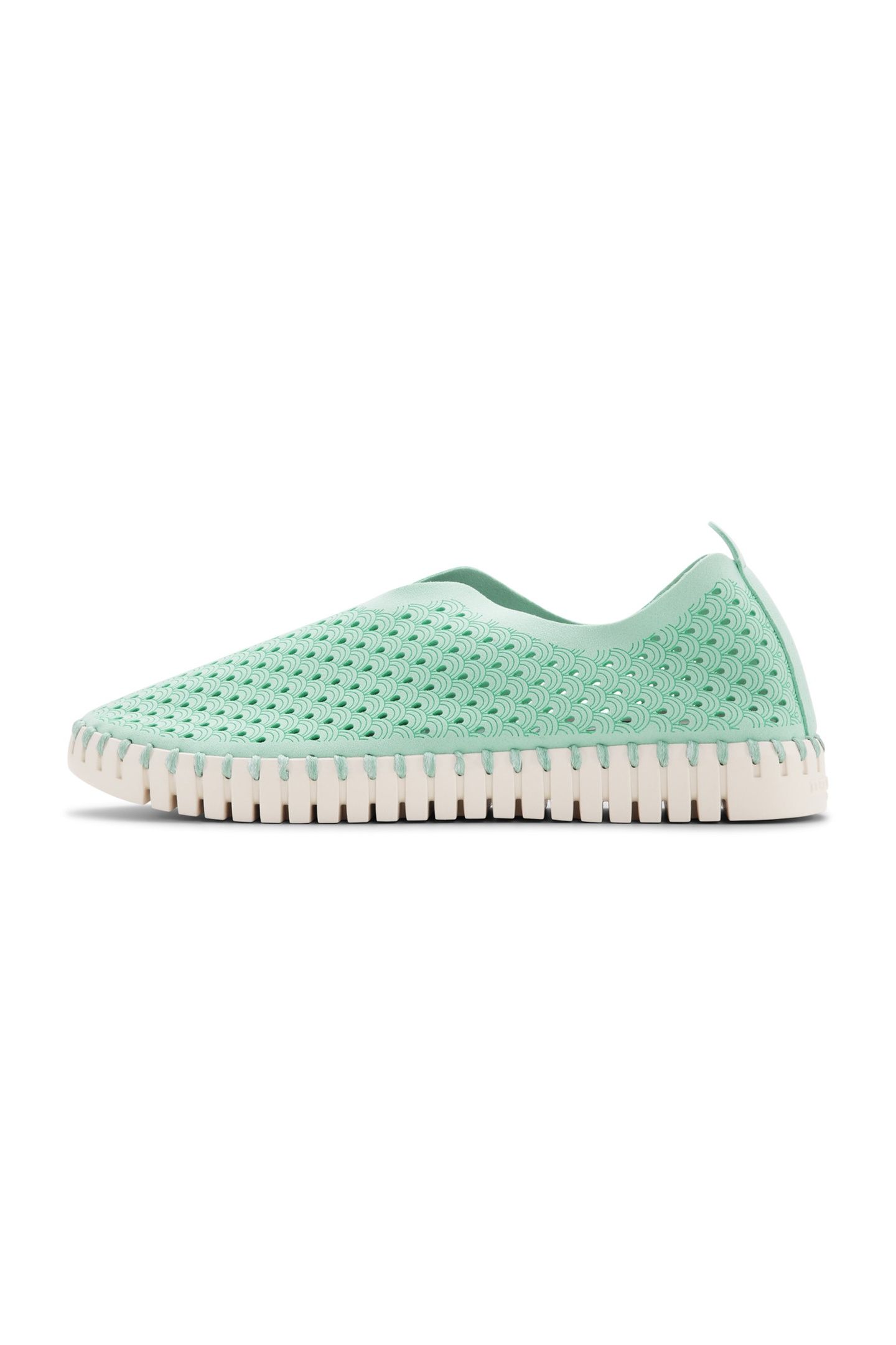 FLATS TULIP3275 YUCCA 1