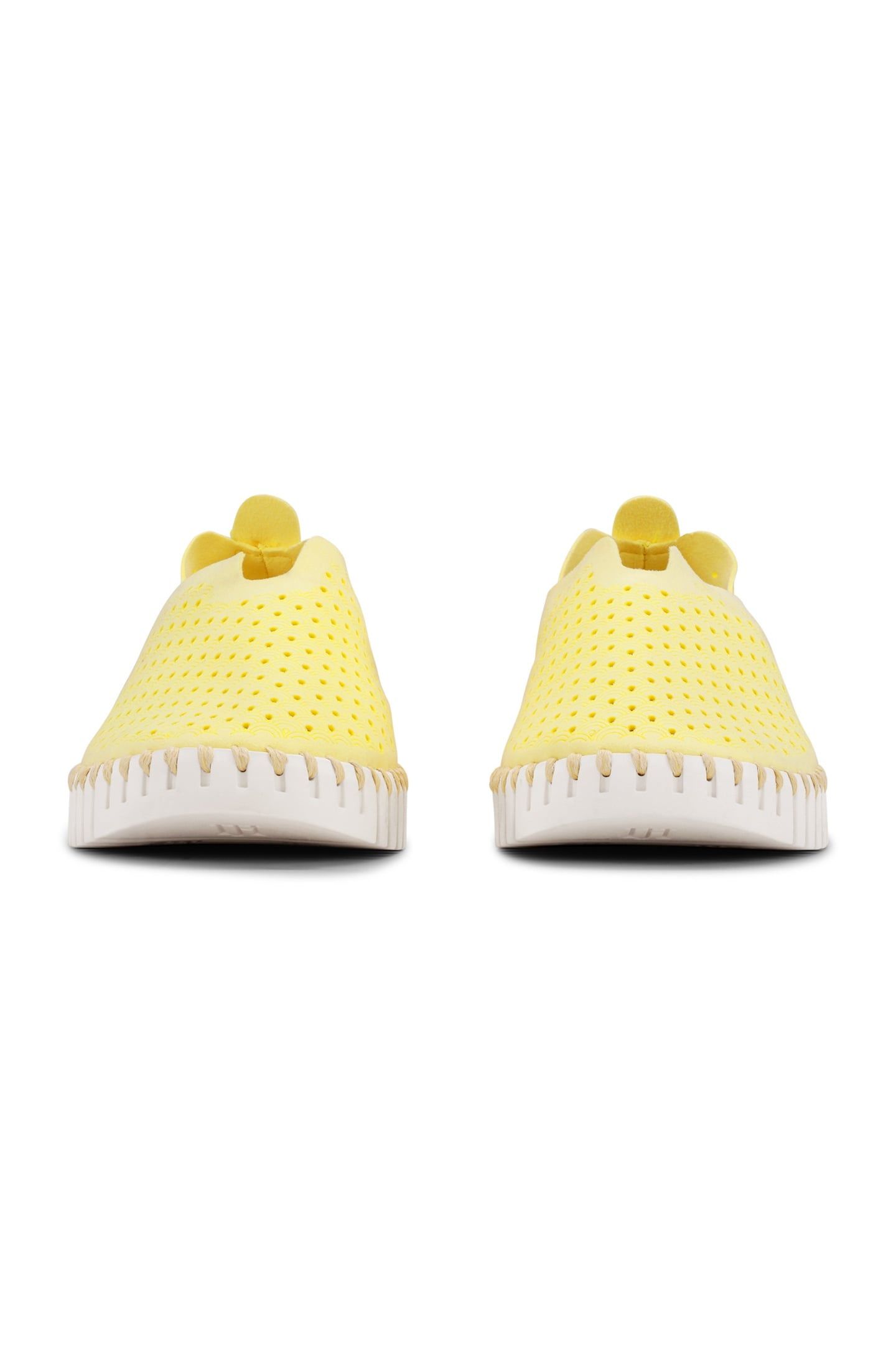 FLATS TULIP3275 LEMON DROP 4