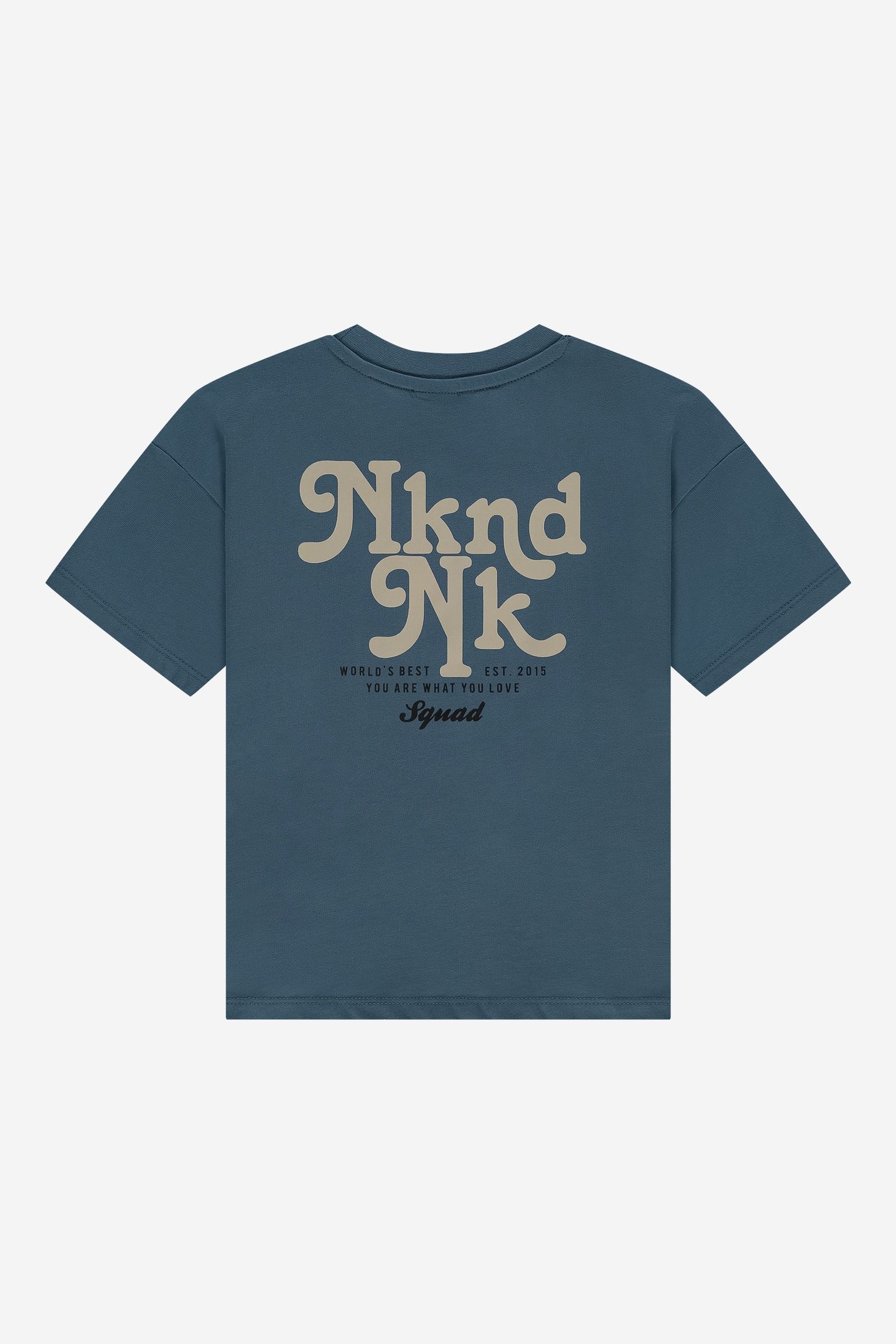 NKNDNK T-SHIRT DUSTY BLUE 2