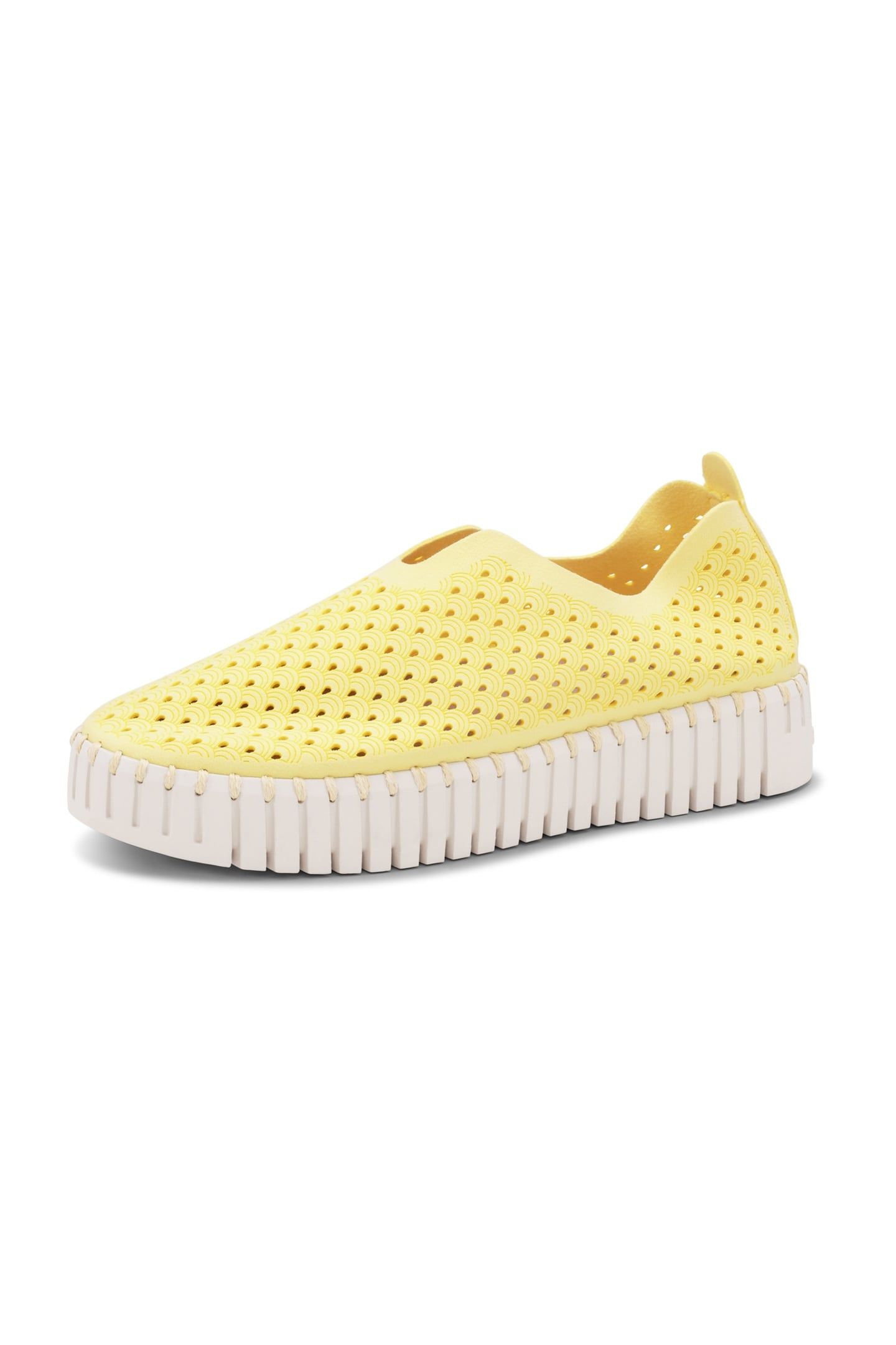 FLATS TULIP3373 LEMON DROP 3