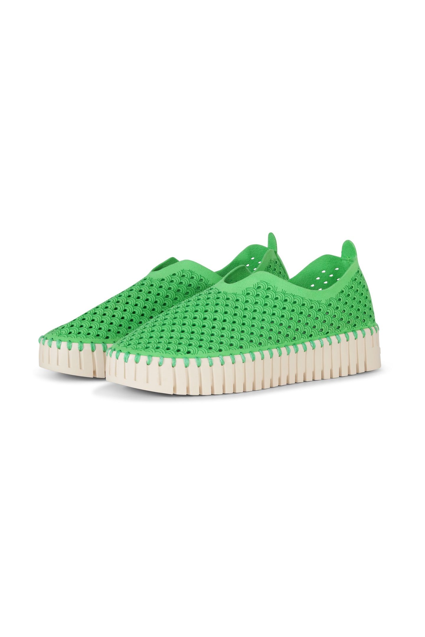 FLATS TULIP3373 BRIGHT GREEN 2