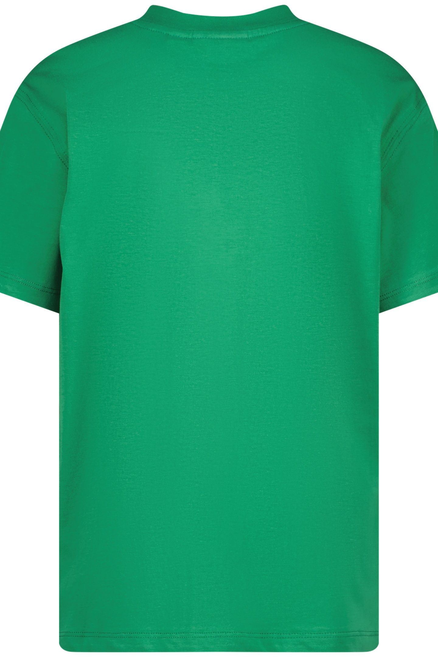 BASIC-OVERSIZED CACTUS GREEN 4