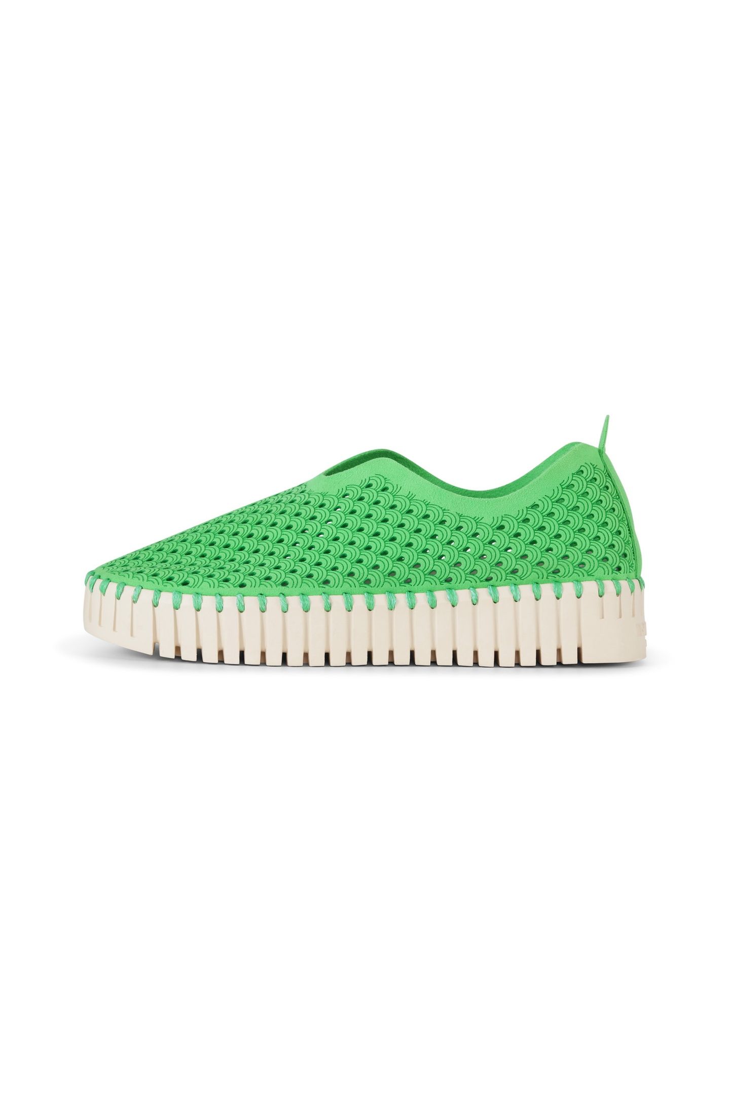 FLATS TULIP3373 BRIGHT GREEN 1