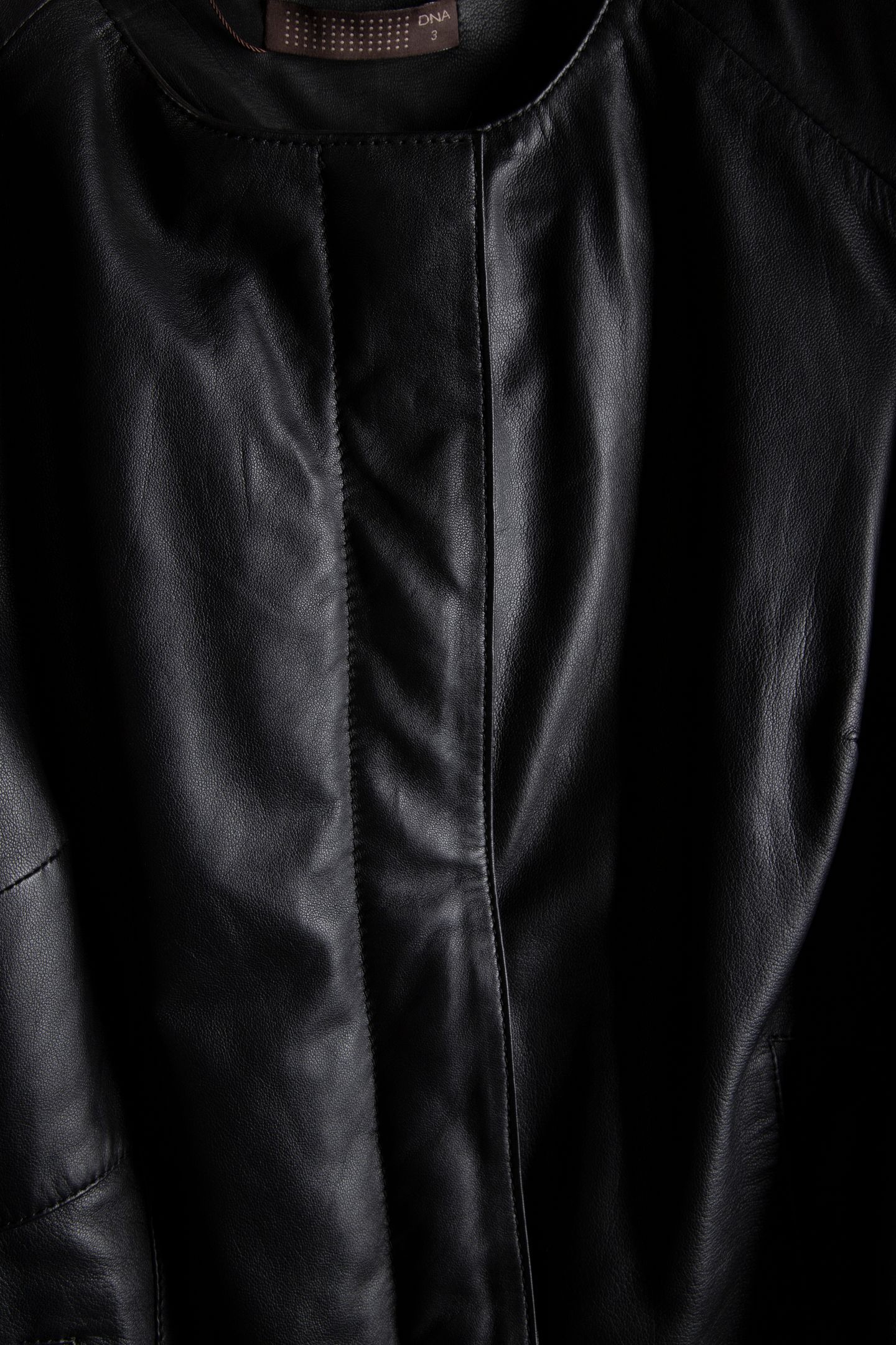 CATS BLACK 4