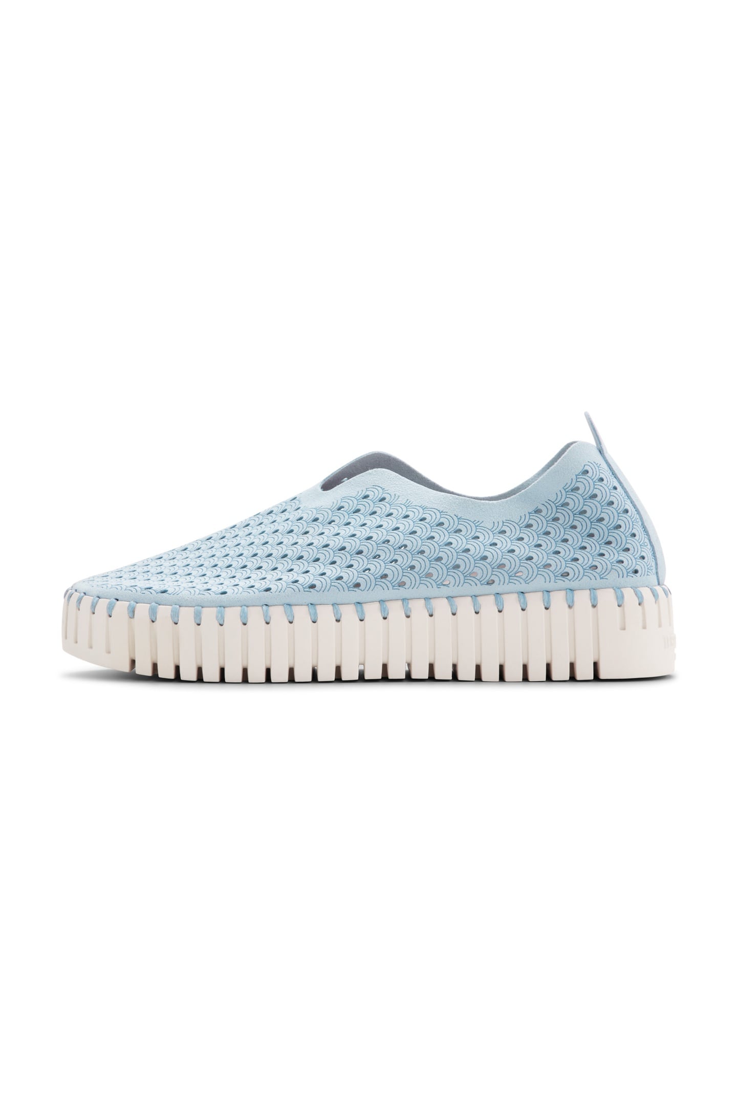 FLATS TULIP3373 ASH BLUE 1