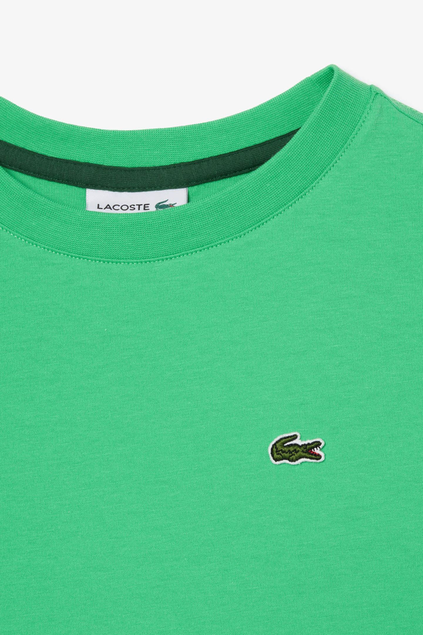 CHILDREN TEE-SHIRT PEPPERMINT 5