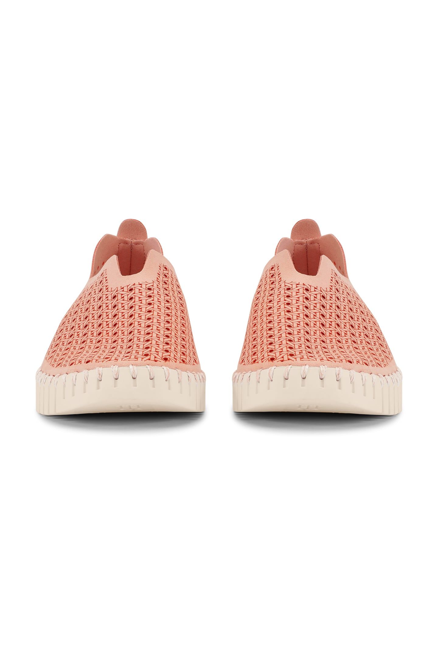 FLATS TULIP4031 ADOBE ROSE PEARLED IVORY 5