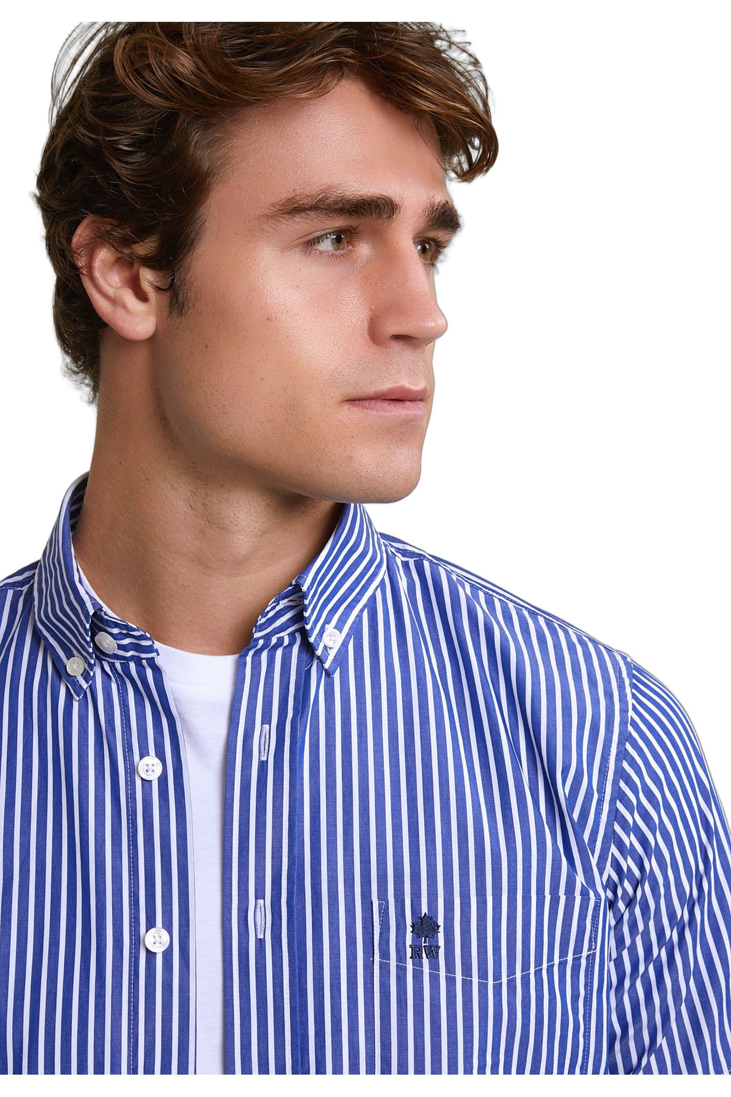 CUSTOM FIT STRIPED PERFORMANCE STRETCH SHIRT SHORT SLEEVES B 4