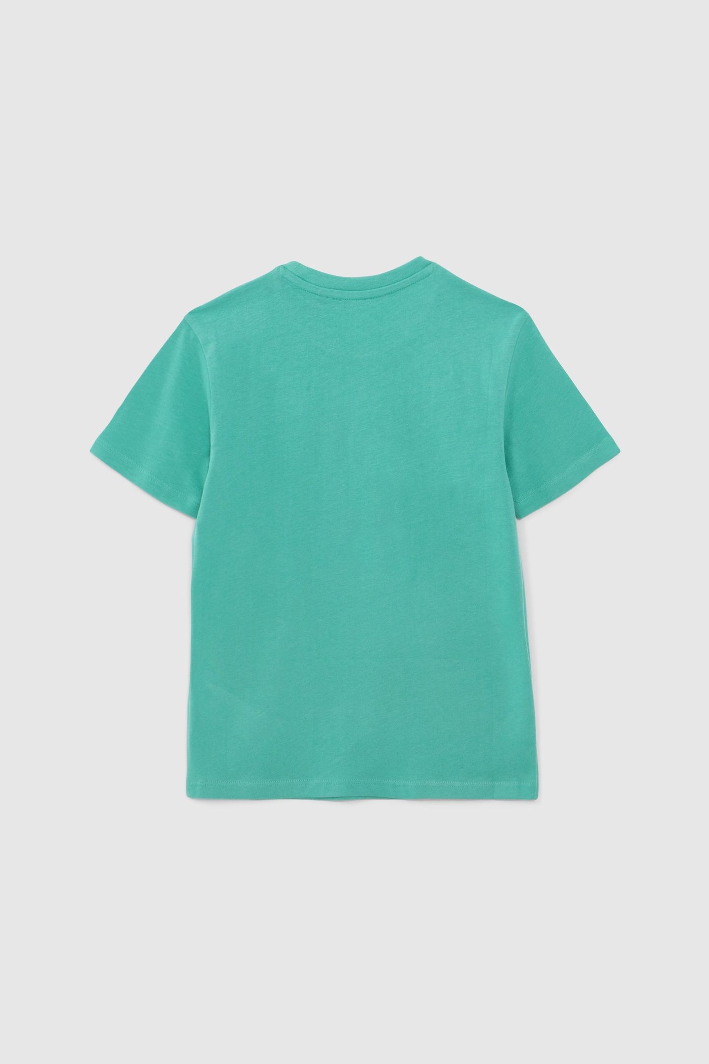 BOYS' GREEN ORGANIC COTTON T-SHIRT, XL JUNGLE LETTERING 2