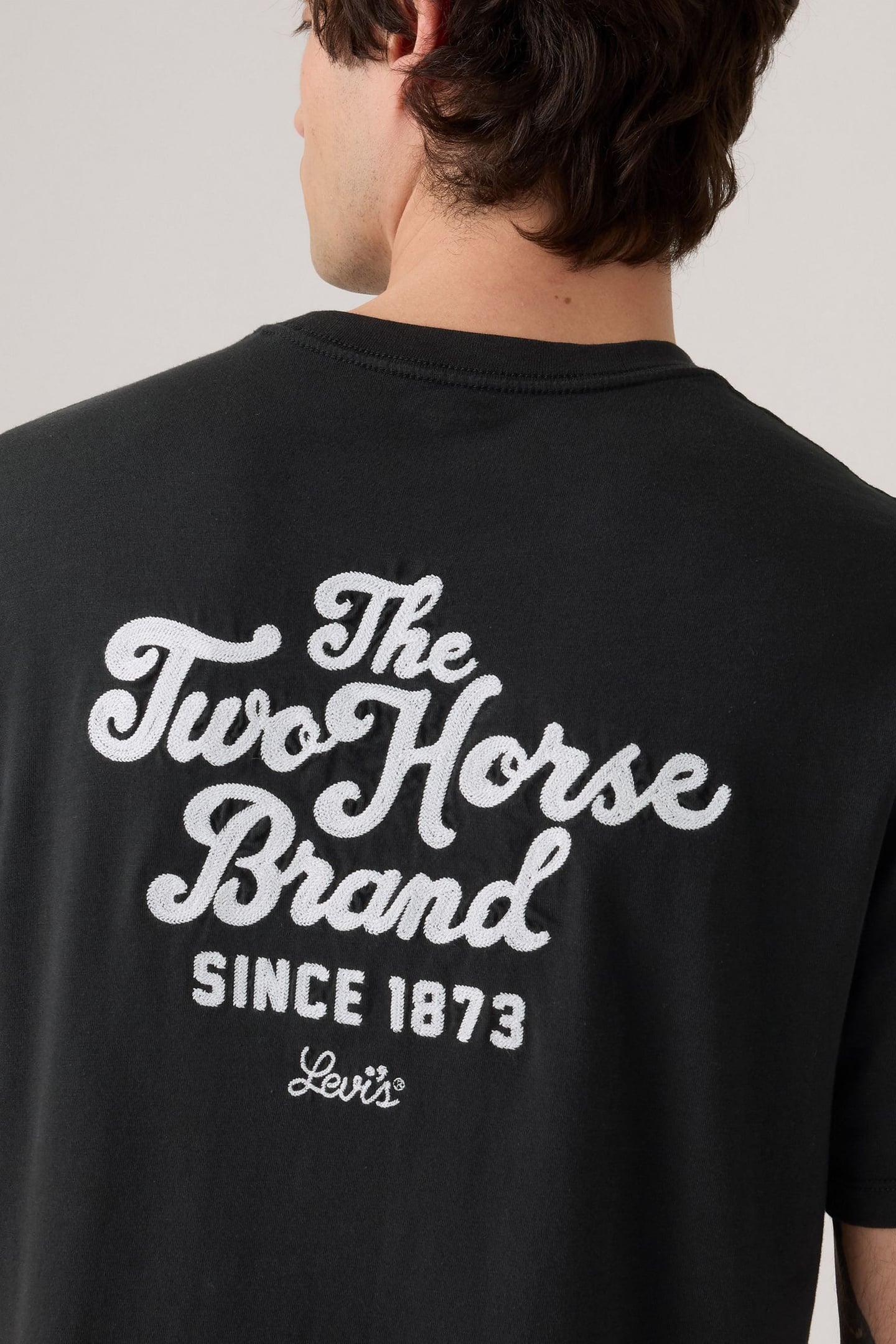 GRAPHIC CREWNECK TEE ORGINAL TWO HORSE B 3