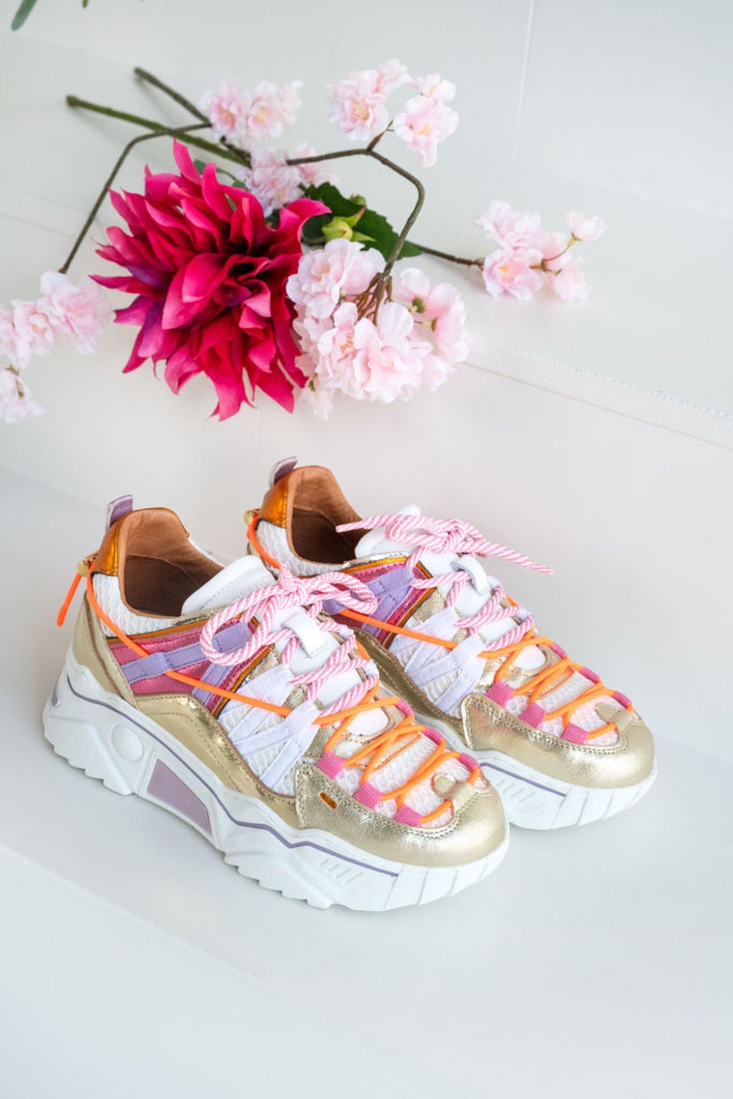 ORION CHAMPAGNE / PINK 2