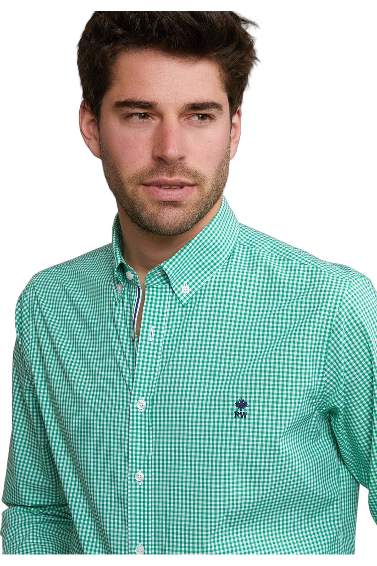 CUSTOM FIT CHECKED COTTON SHIRT GREEN/WHITE 3