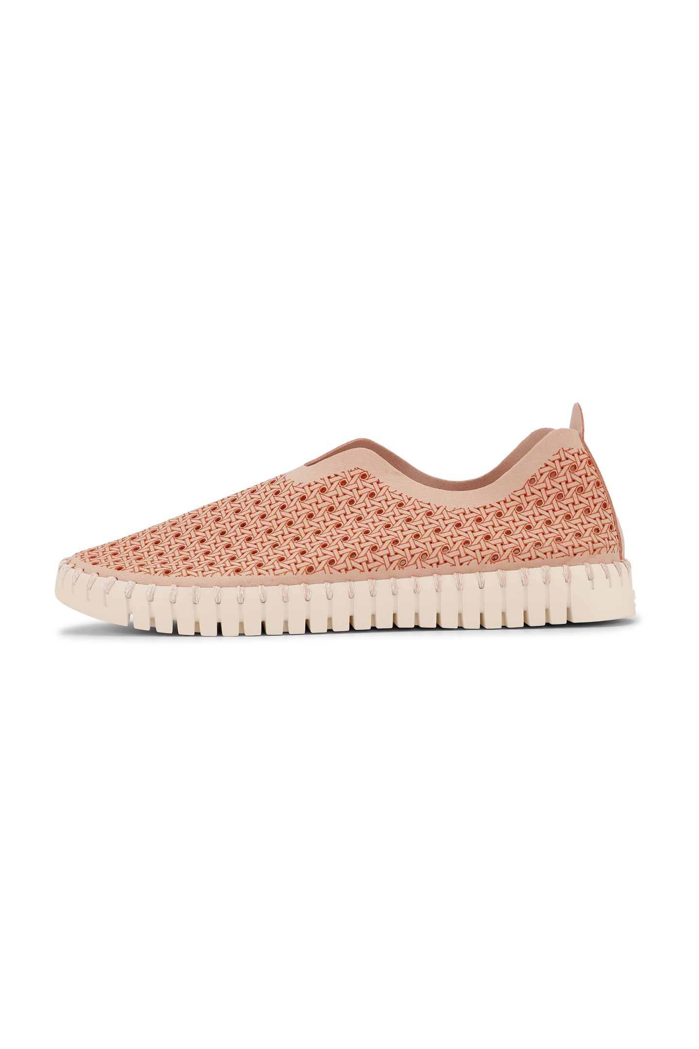 FLATS TULIP4031 ADOBE ROSE PEARLED IVORY 1