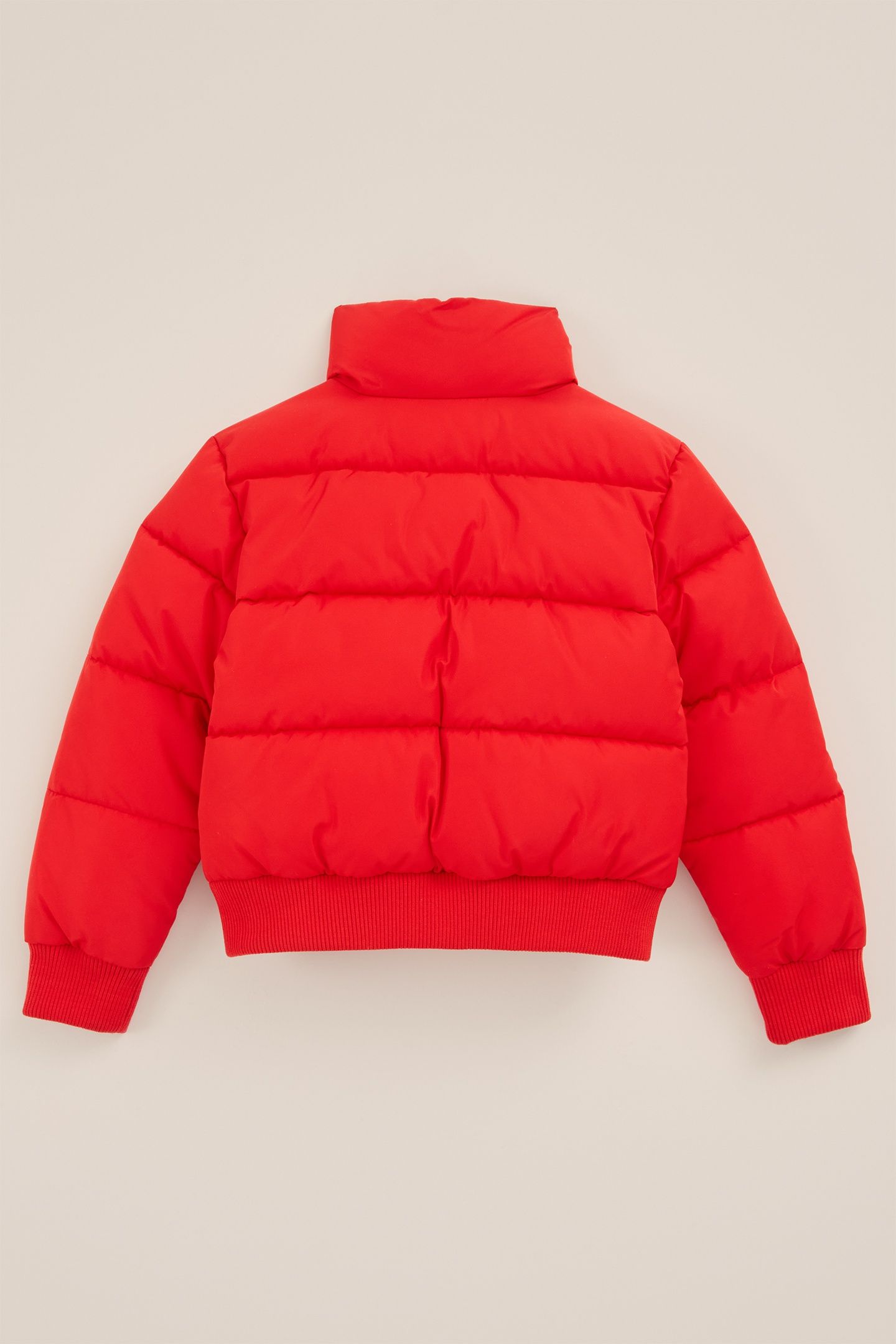 BOMBER BRIGHT RED 4