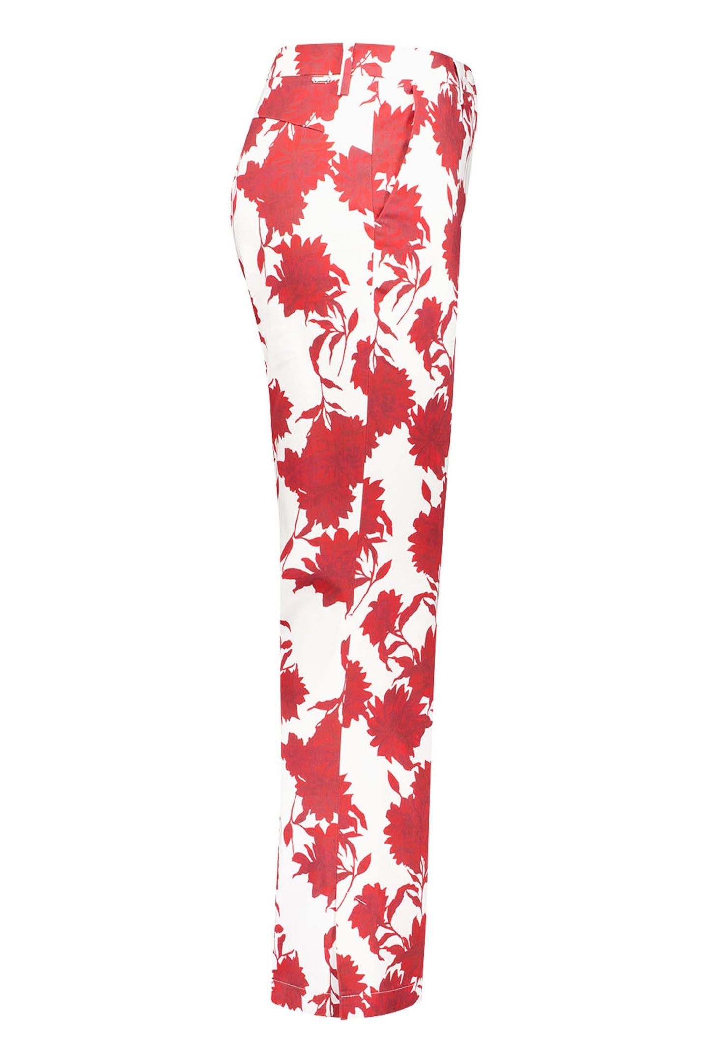 ZELMA1-645711 ROT 2
